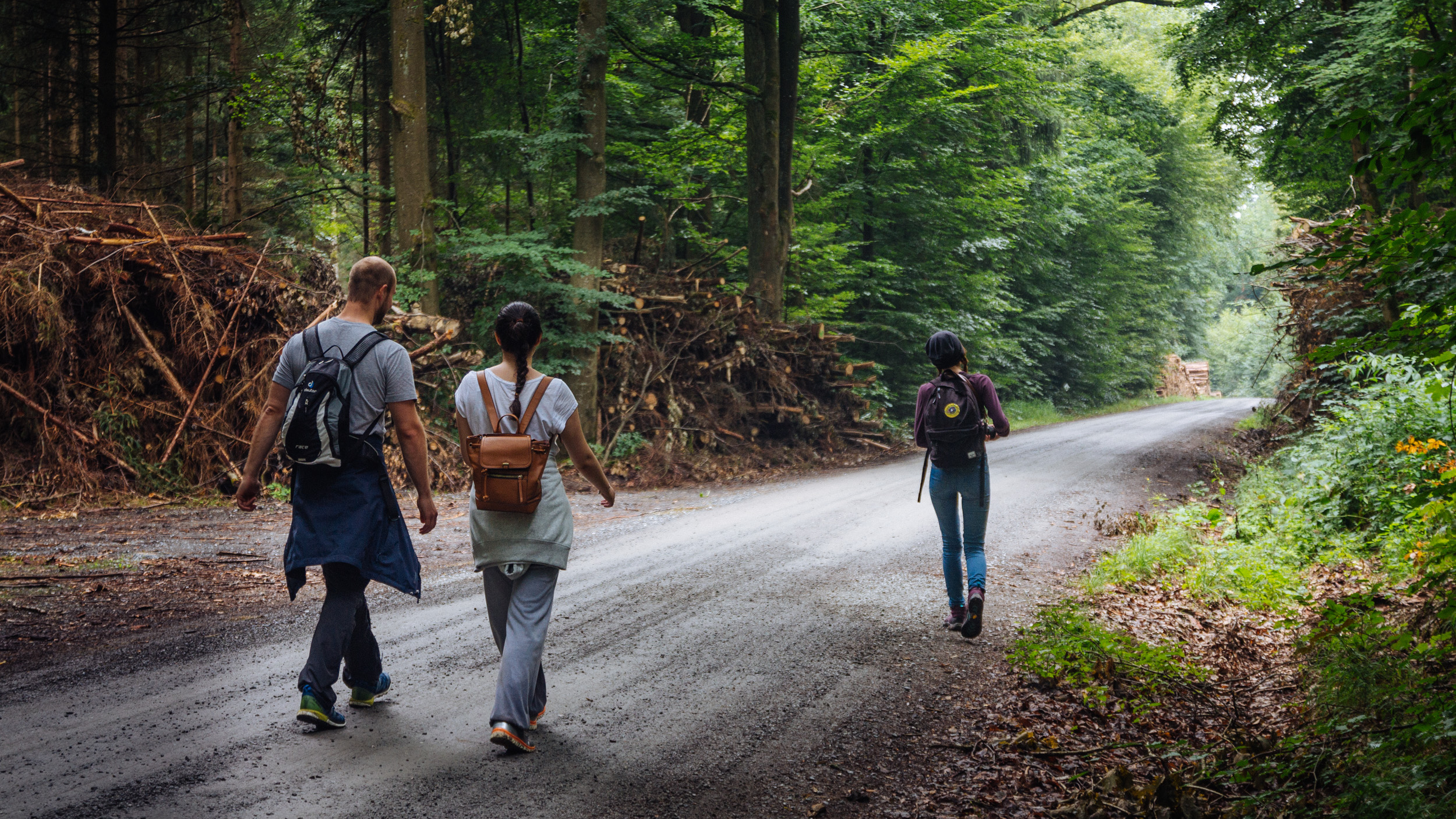 2018-07-22 Heinersreuther Forest 8807