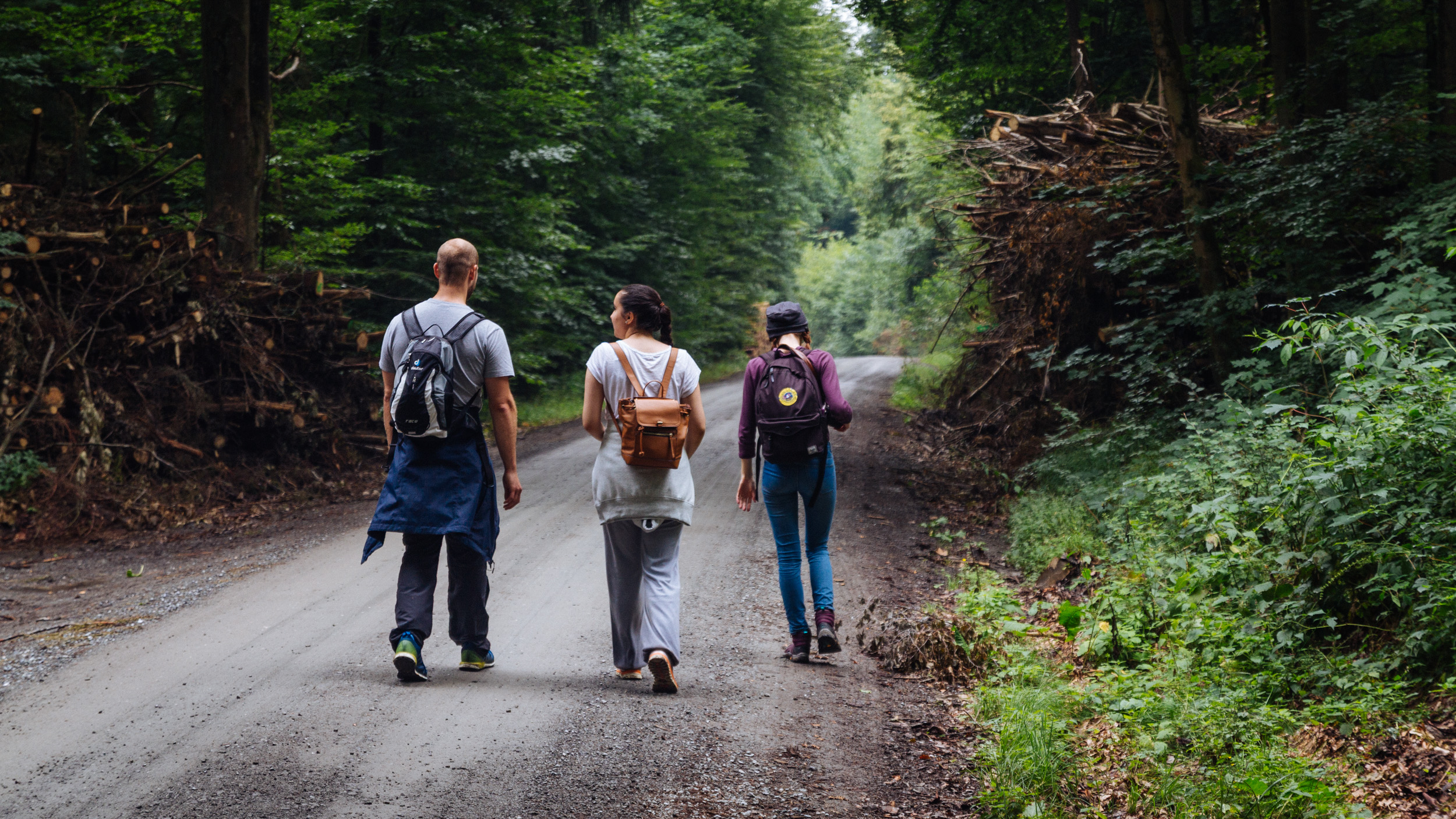 Heinersreuther forest exploration