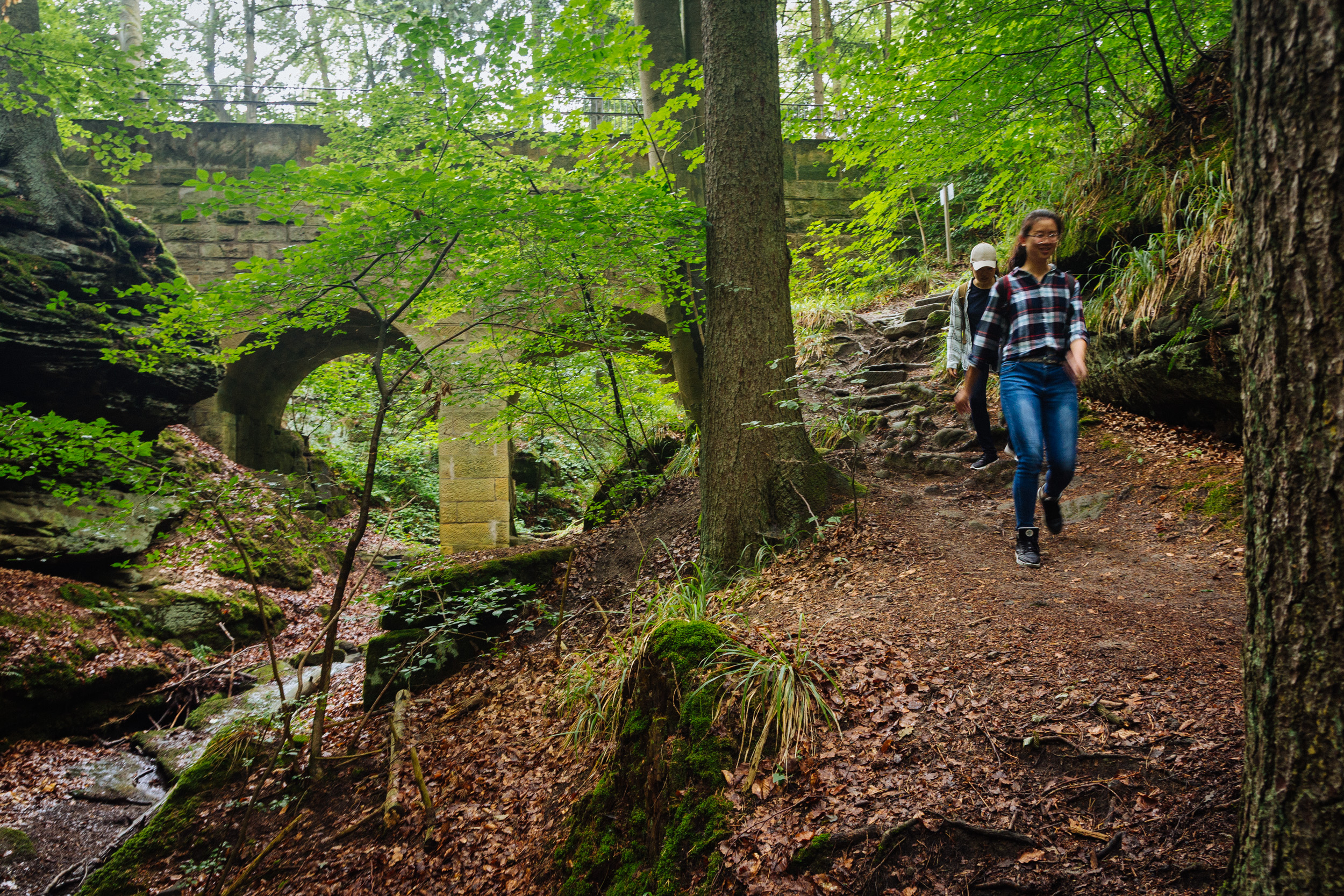 2018-07-22 Heinersreuther Forest 8813