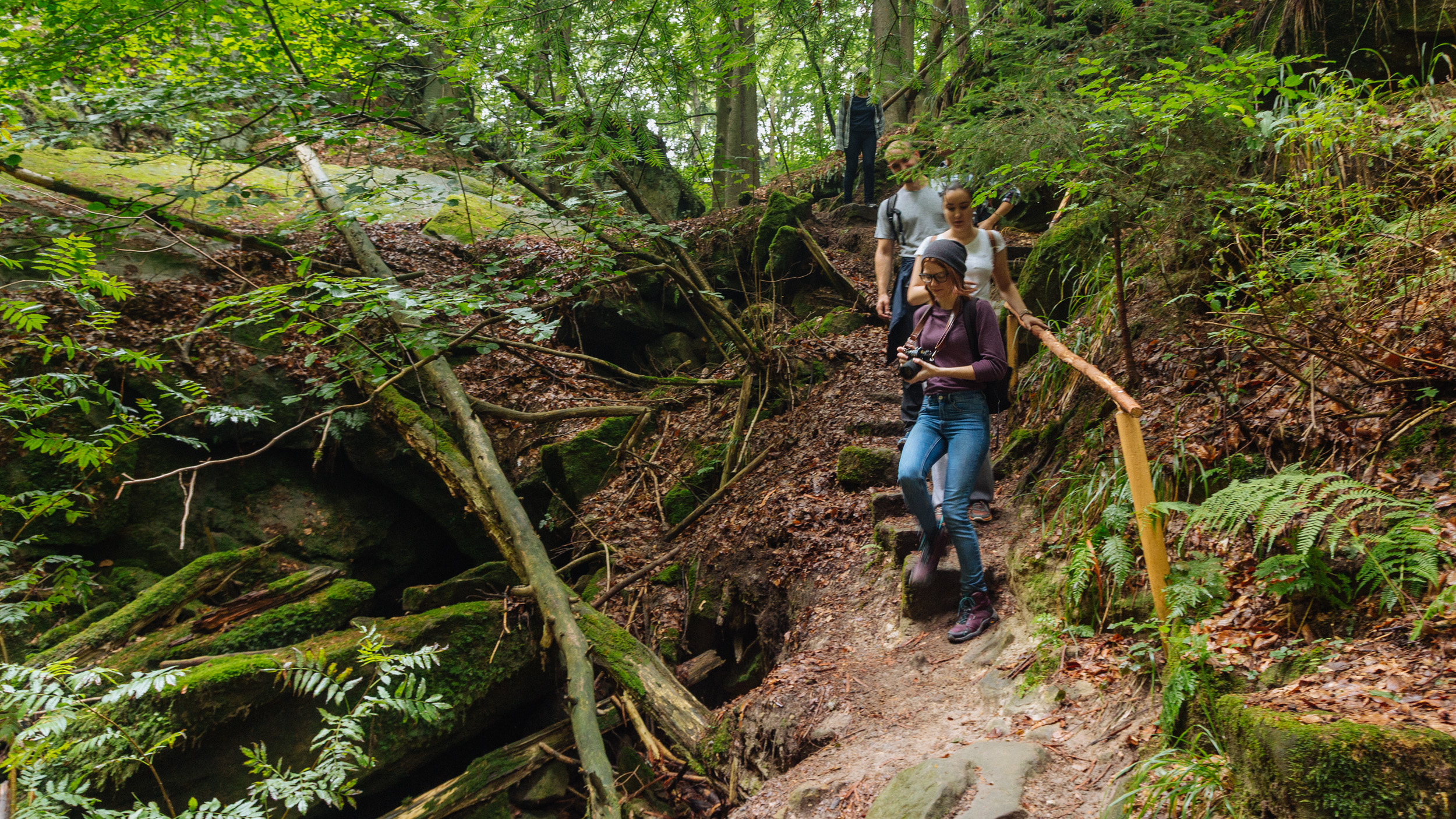 2018-07-22 Heinersreuther Forest 8815