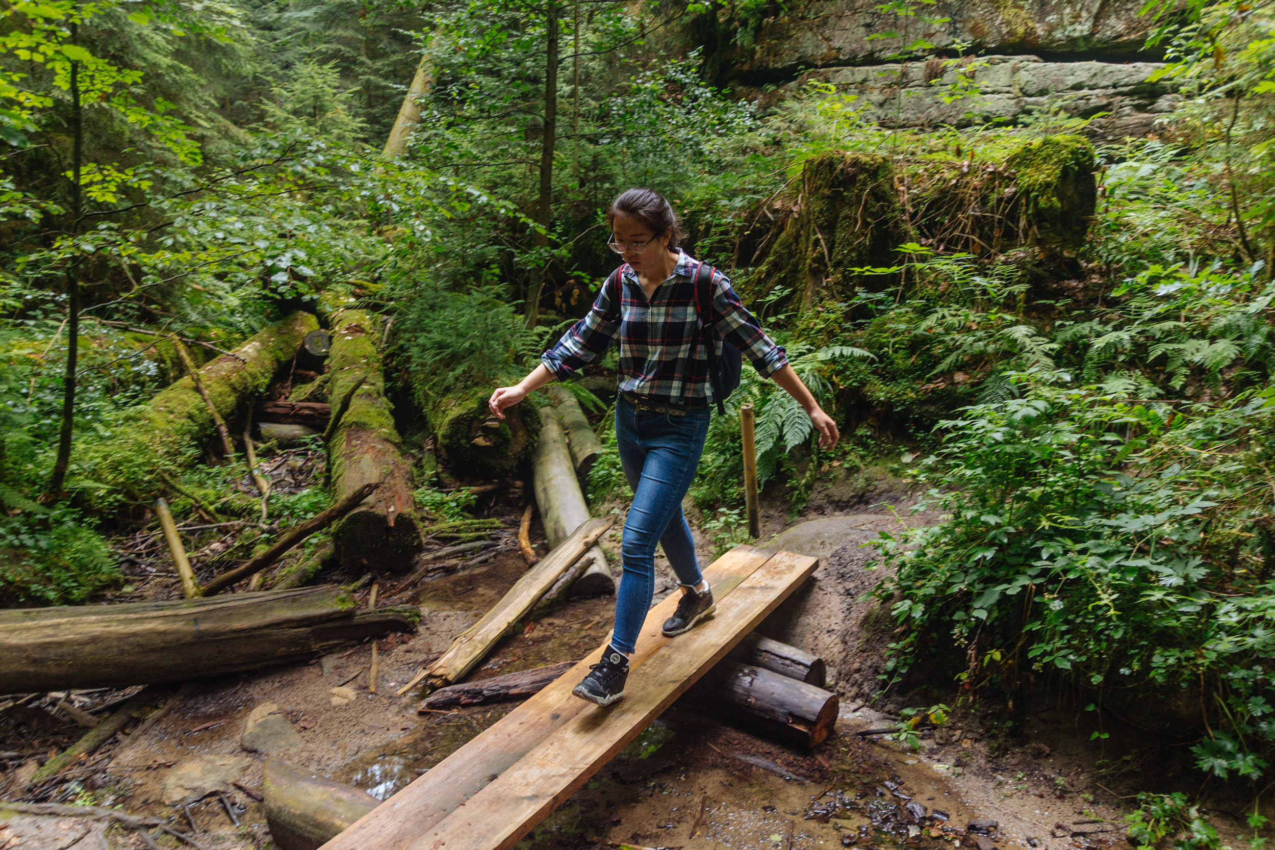 2018-07-22 Heinersreuther Forest 8821
