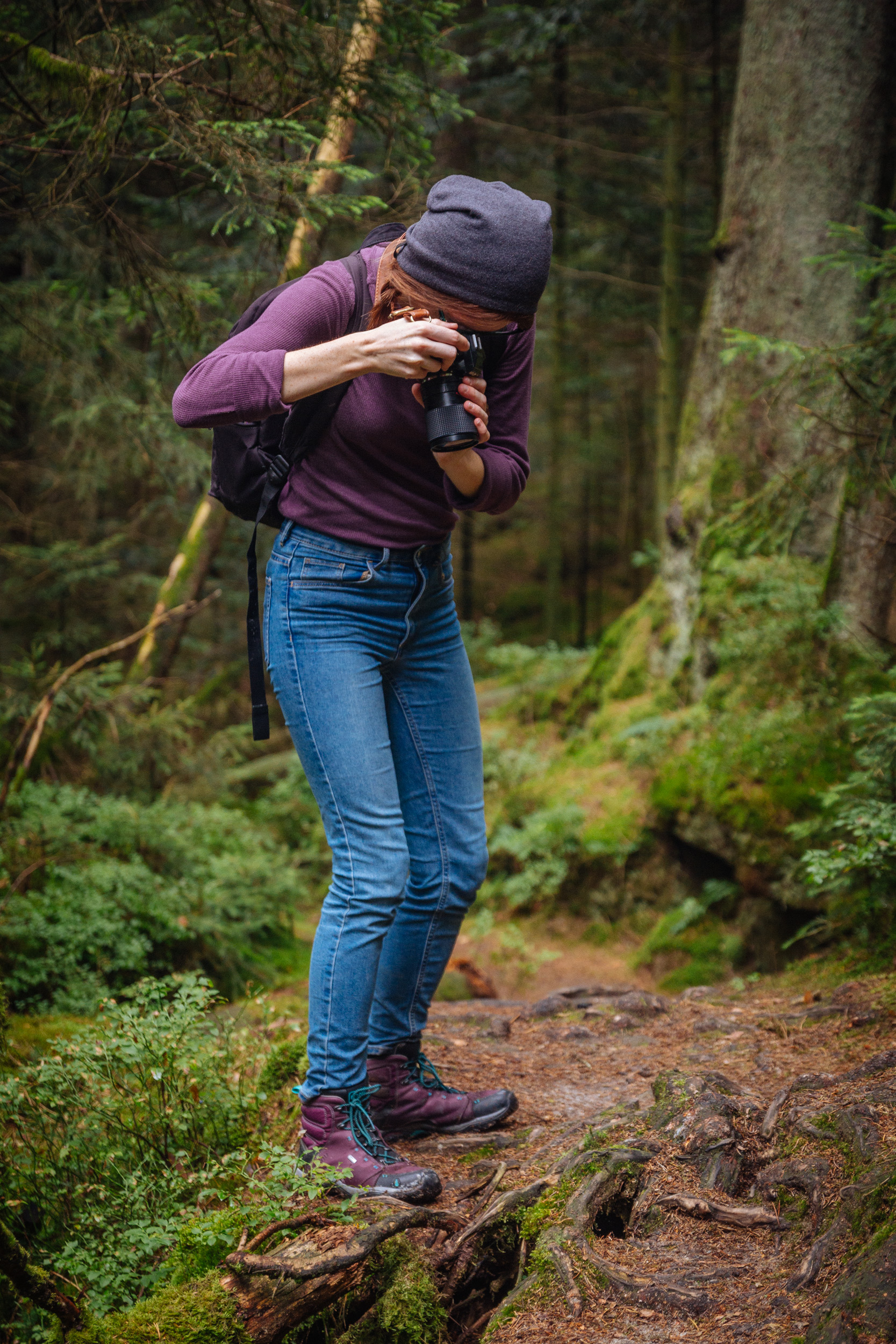 2018-07-22 Heinersreuther Forest 8833