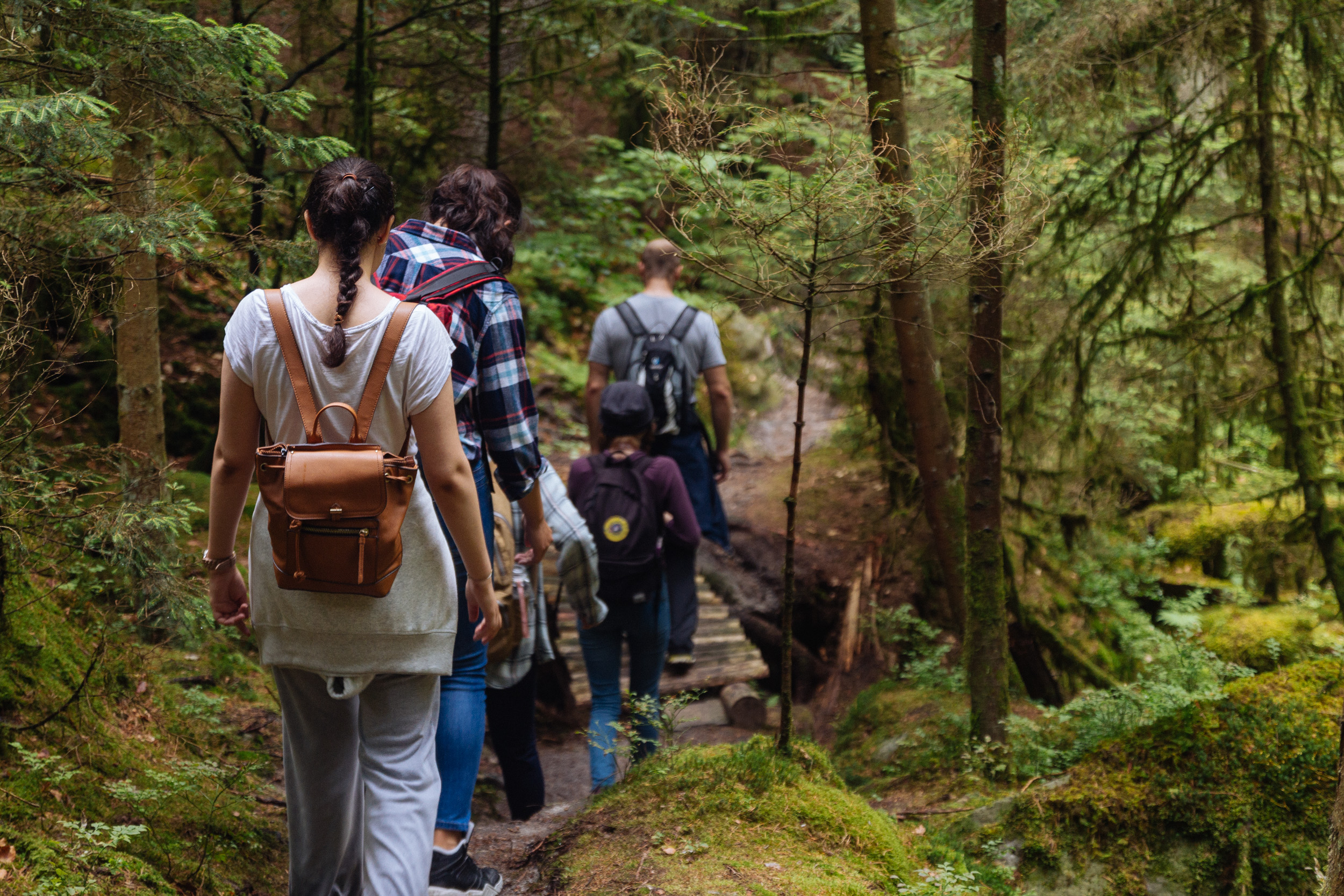 2018-07-22 Heinersreuther Forest 8837