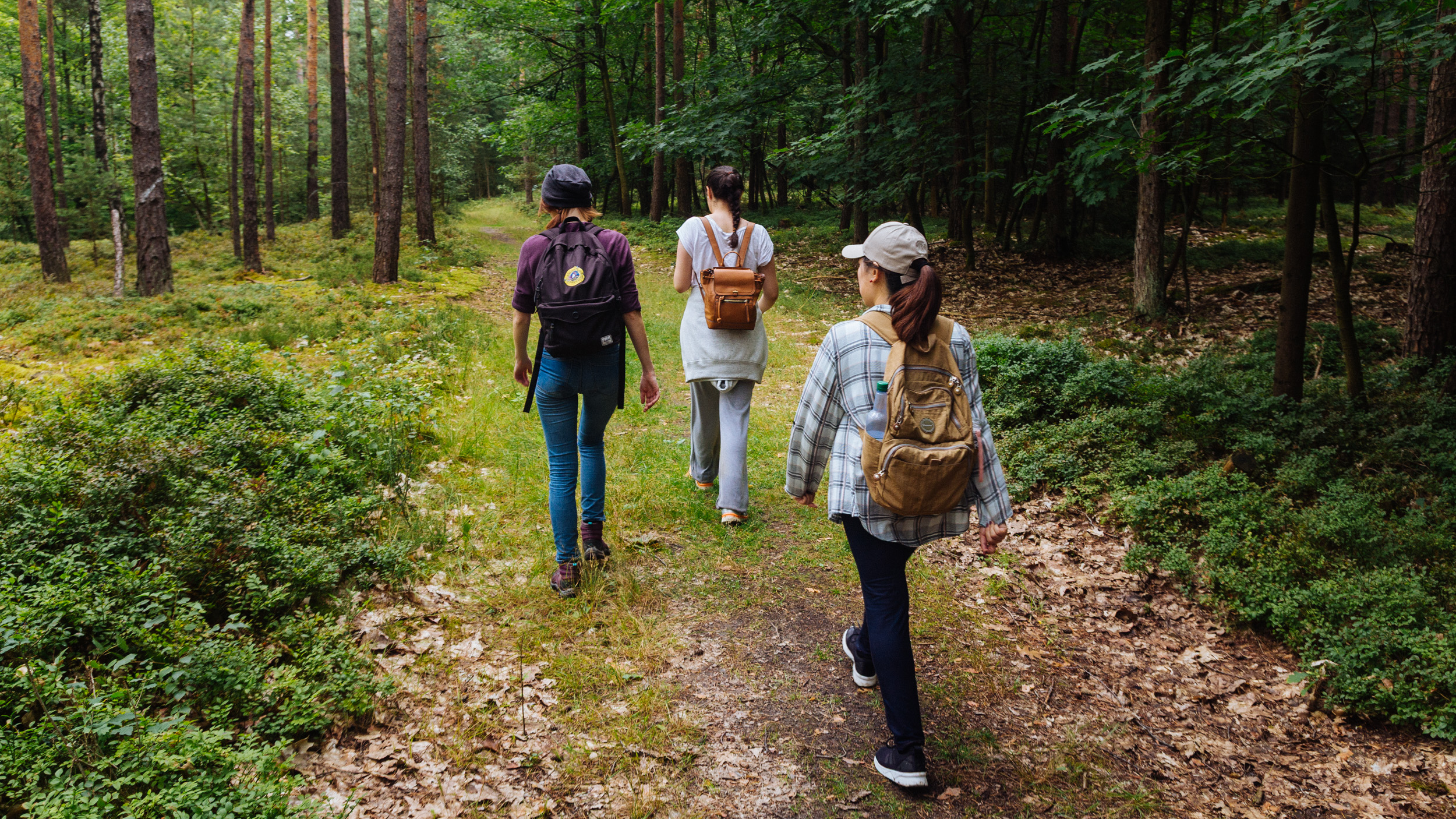 2018-07-22 Heinersreuther Forest 8853