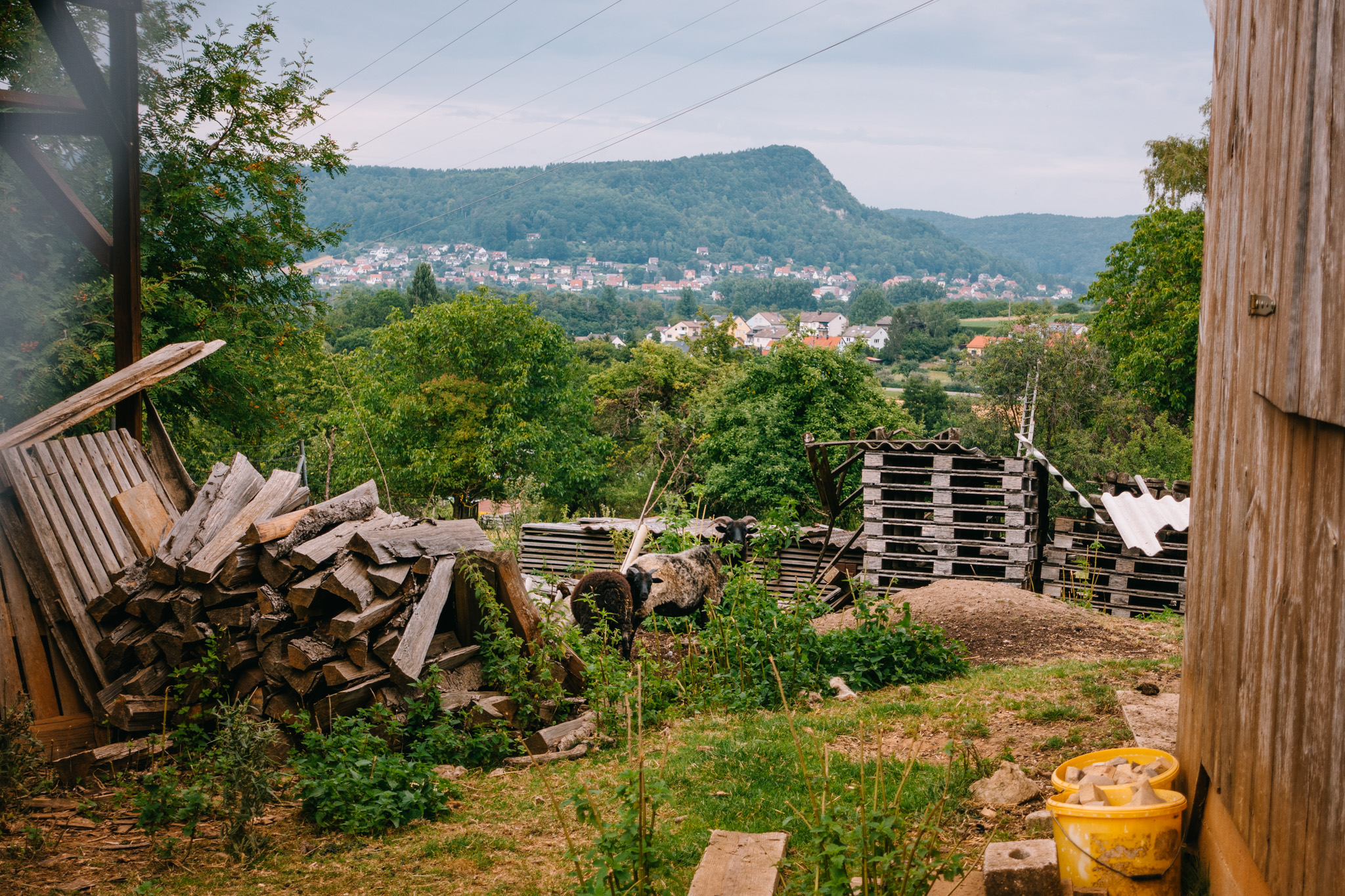 2019-07-27 Hersbruck two top basin-0120