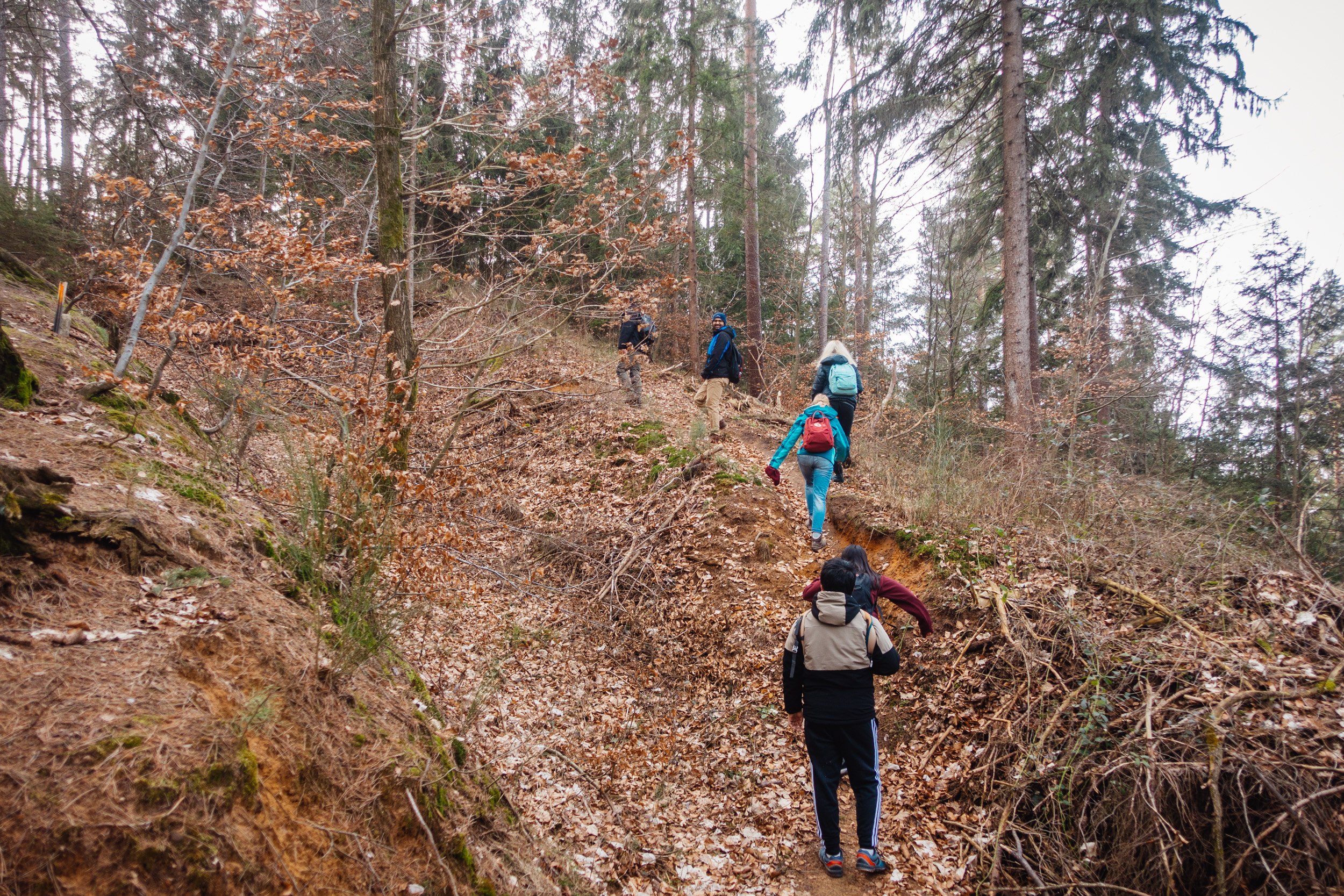 2020-02-22 Hersbruck Two Tops 0043