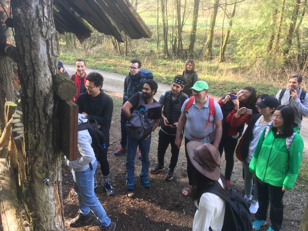 2018-04-14 Hollfeld 3