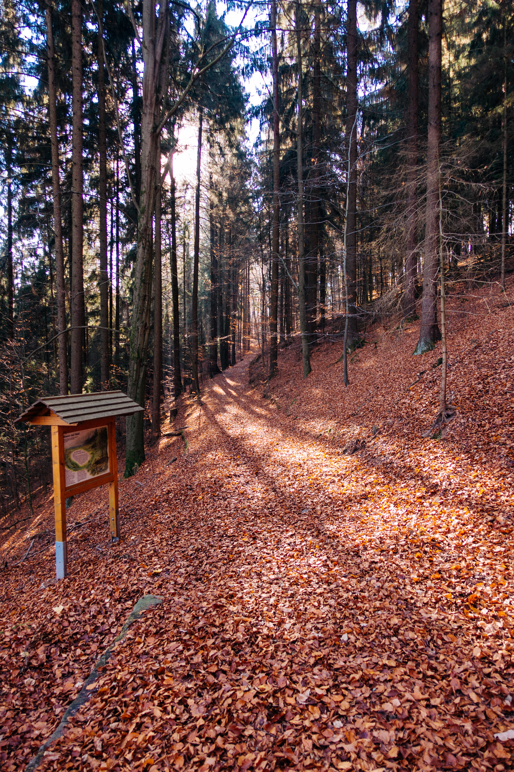 2018-11-17 Kulmbach 0106