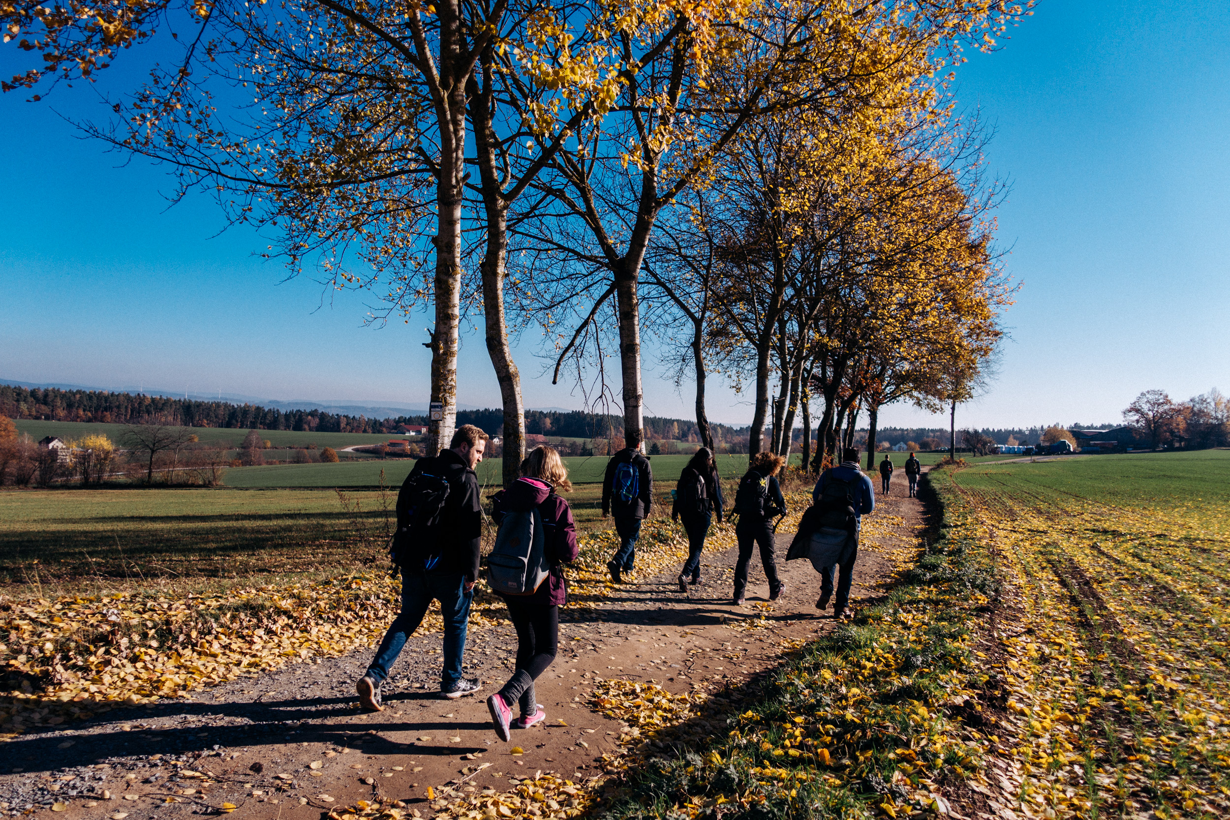 2018-11-17 Kulmbach 0140