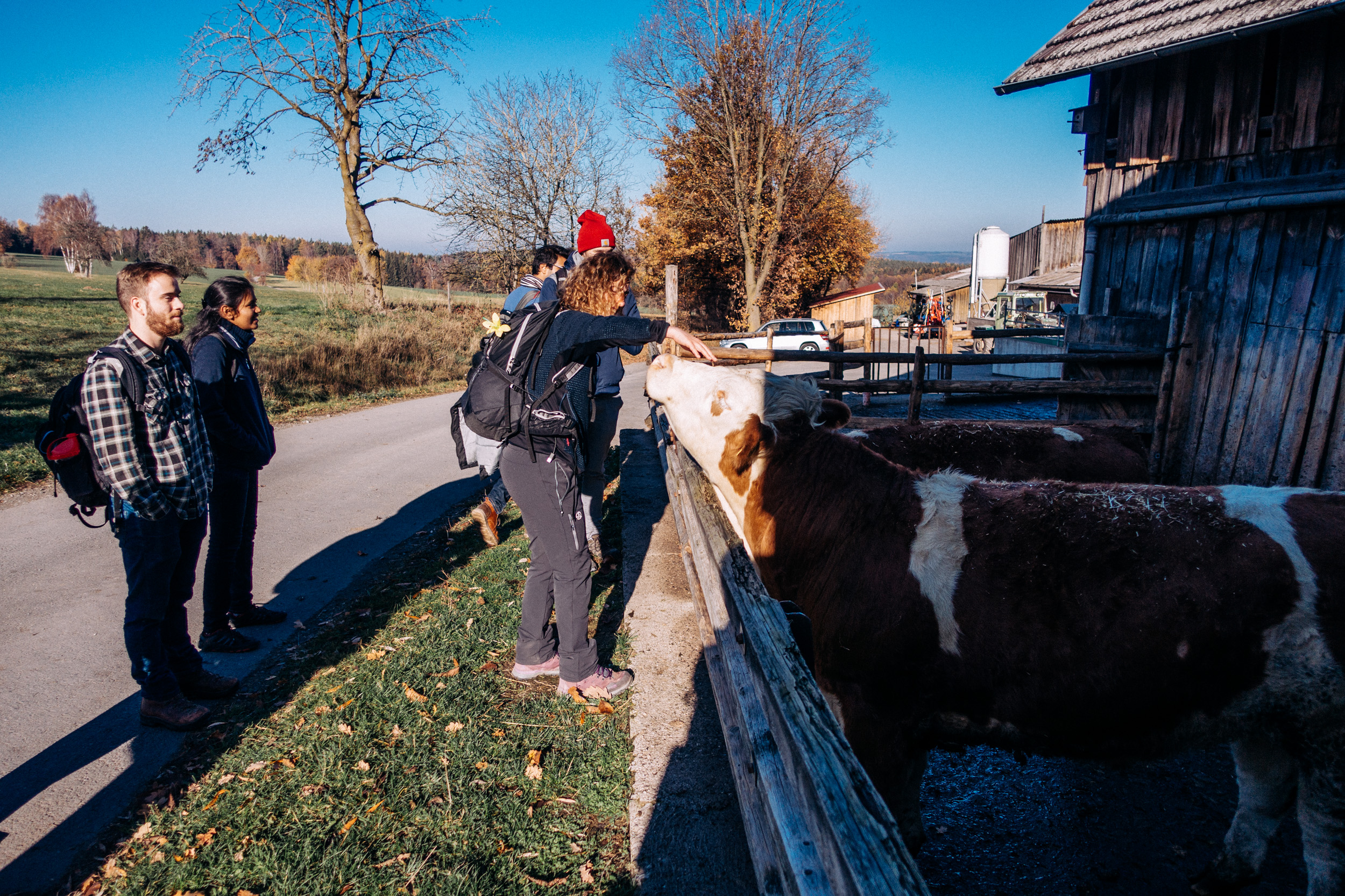 2018-11-17 Kulmbach 0152