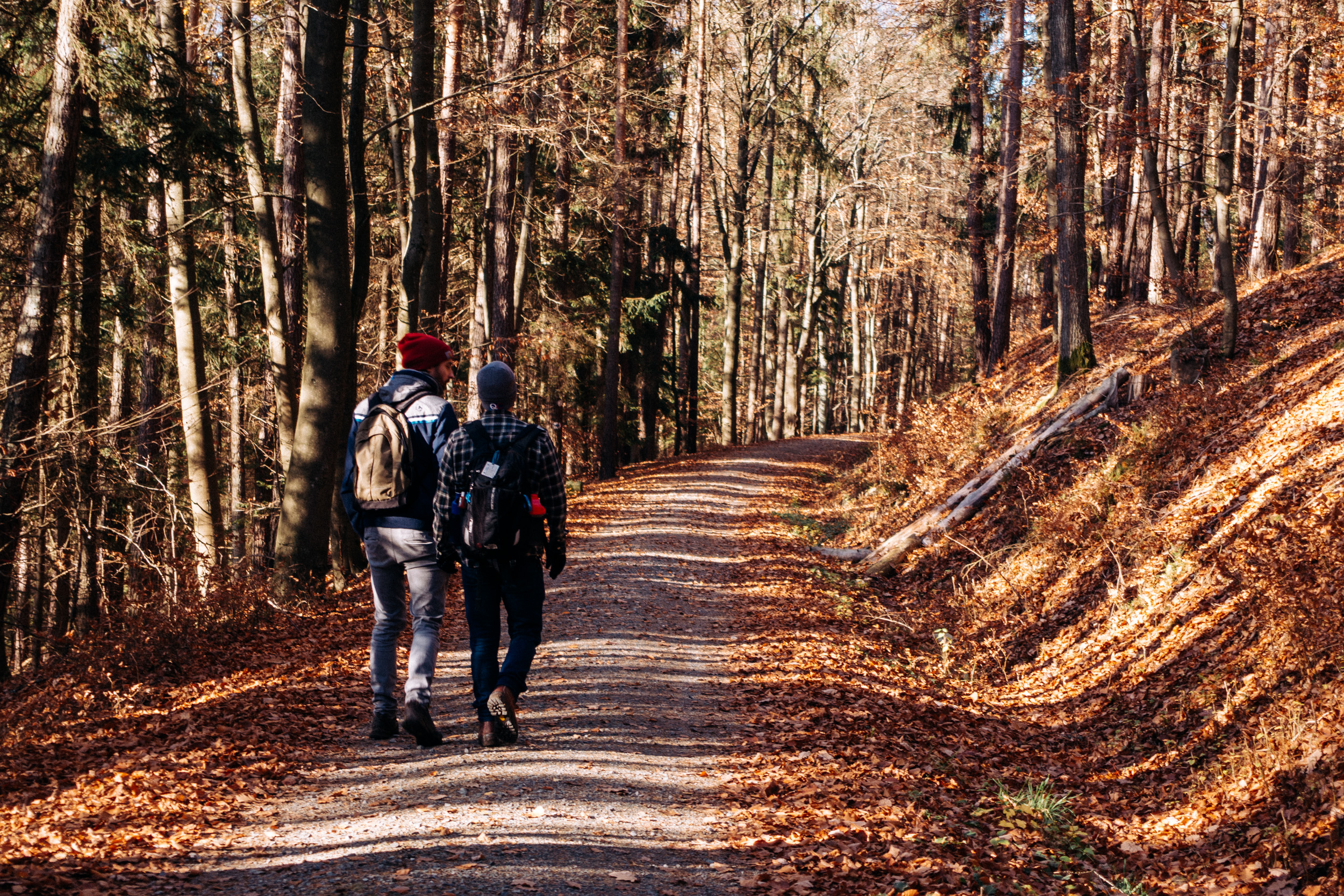 2018-11-17 Kulmbach 0186