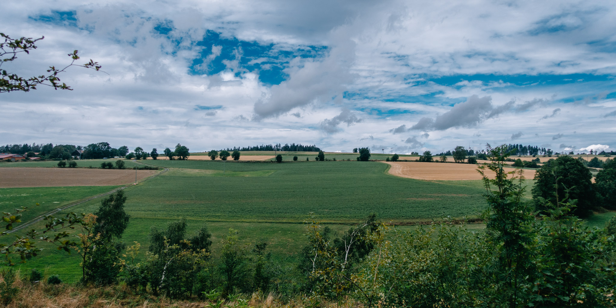 2019-08-10 Neuenmarkt blackberry-0090