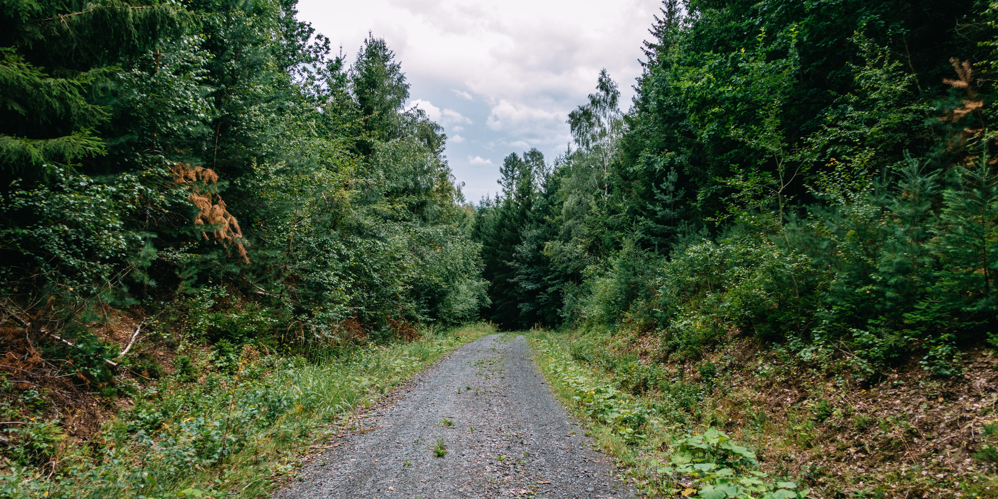 2019-08-10 Neuenmarkt blackberry-0100