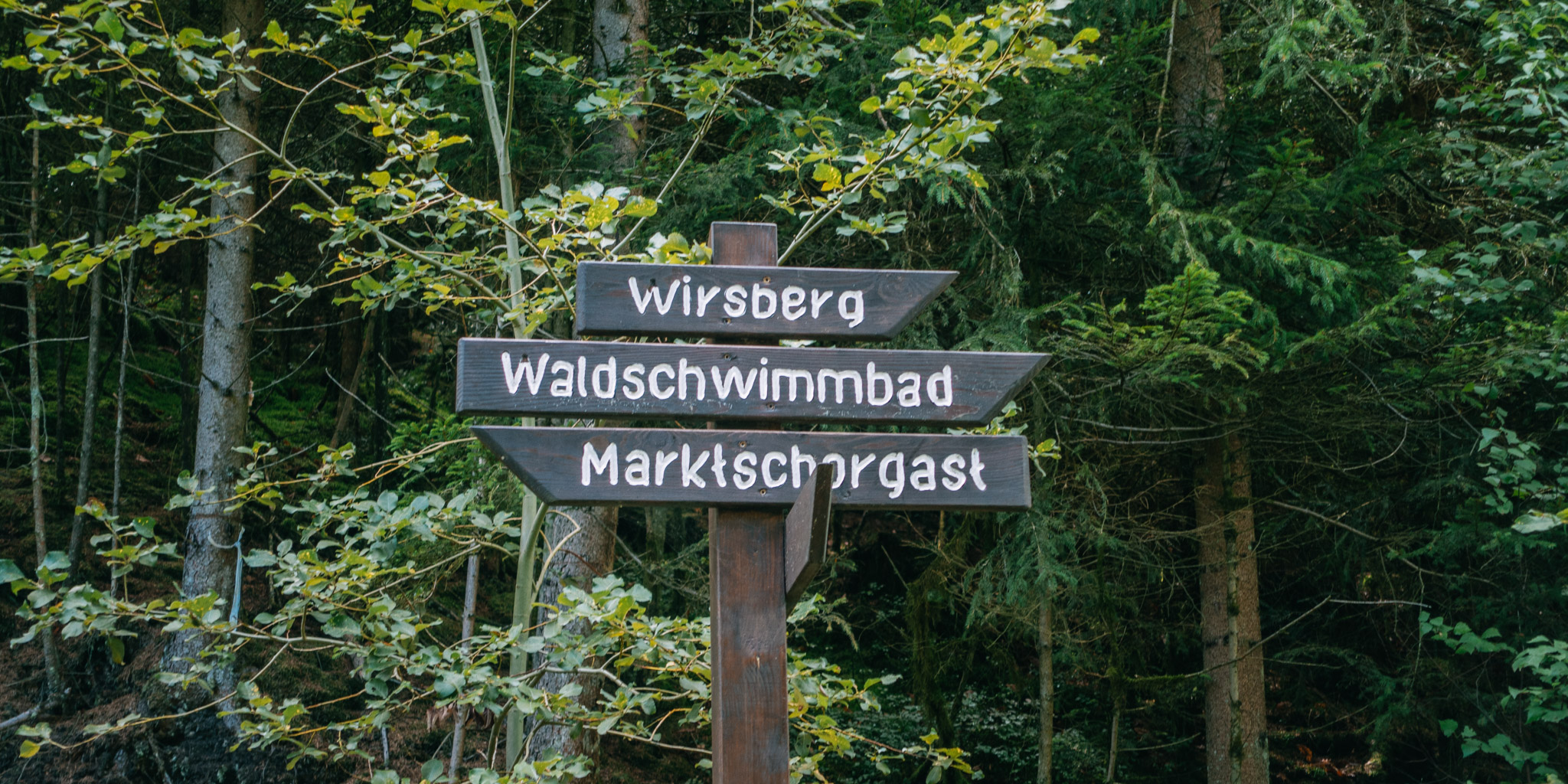 2019-08-10 Neuenmarkt blackberry-0104