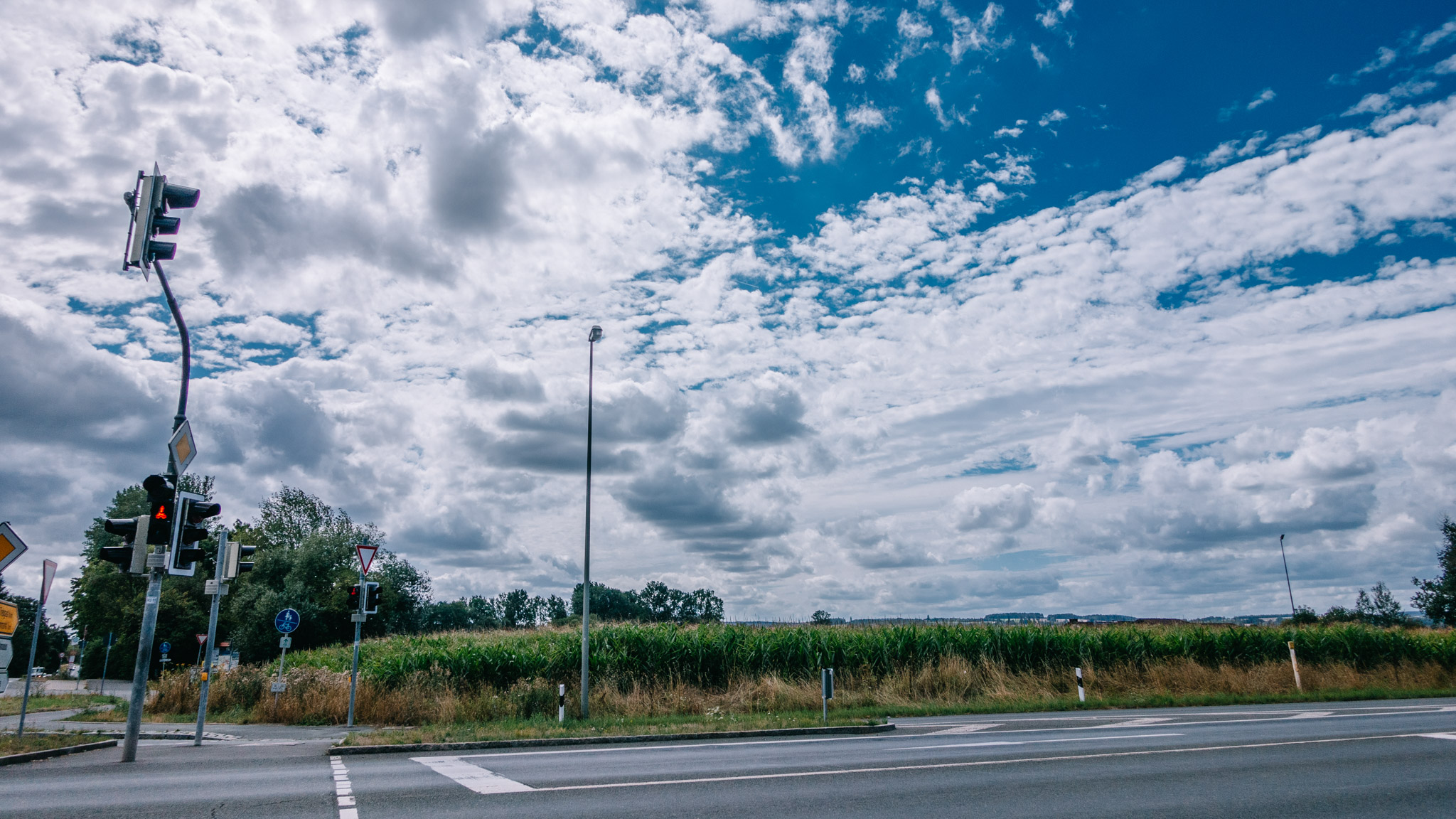 2019-08-10 Neuenmarkt blackberry-0126