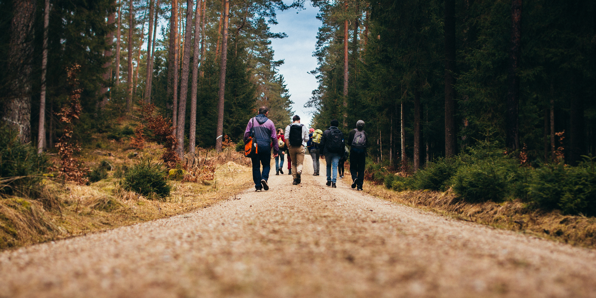 Neuhaus to Pegnitz - Walk in the Woods