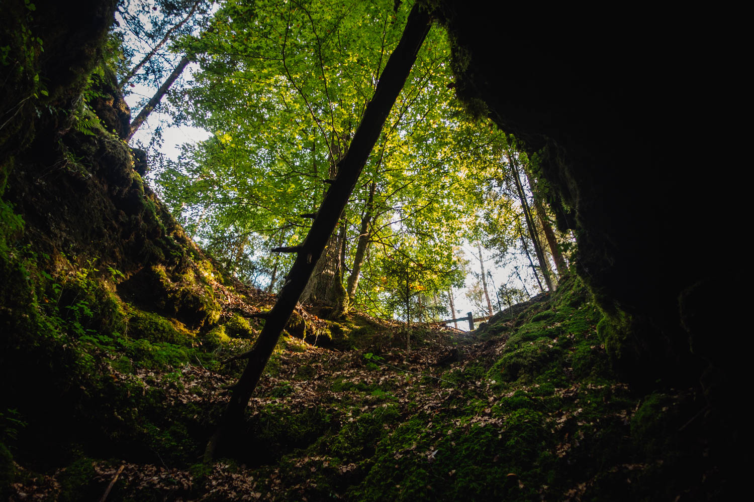 2020-09-12 Horseshoe caves-0337