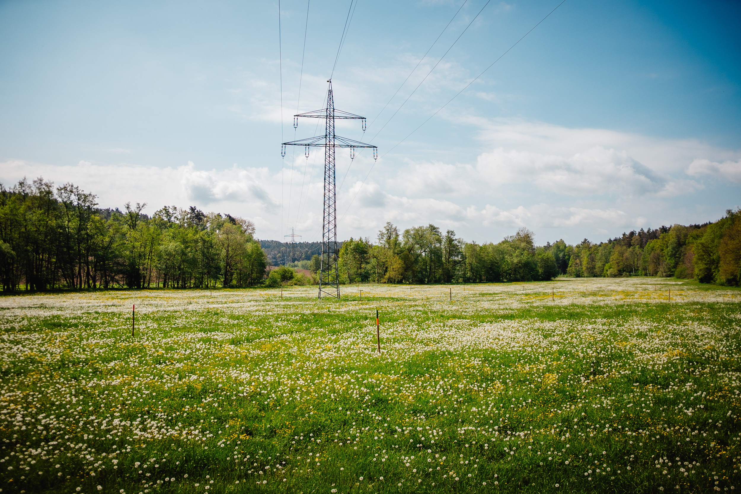 2026-05-09 Eckersdorf 08242