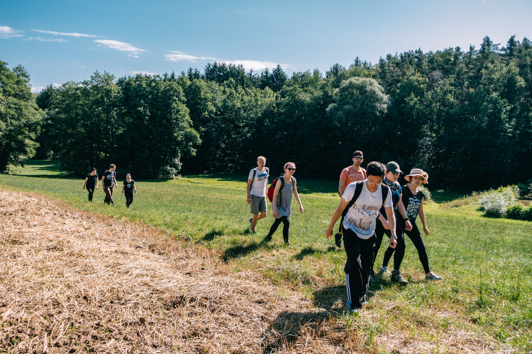 2019-08-10 Neuenmarkt blackberry-4