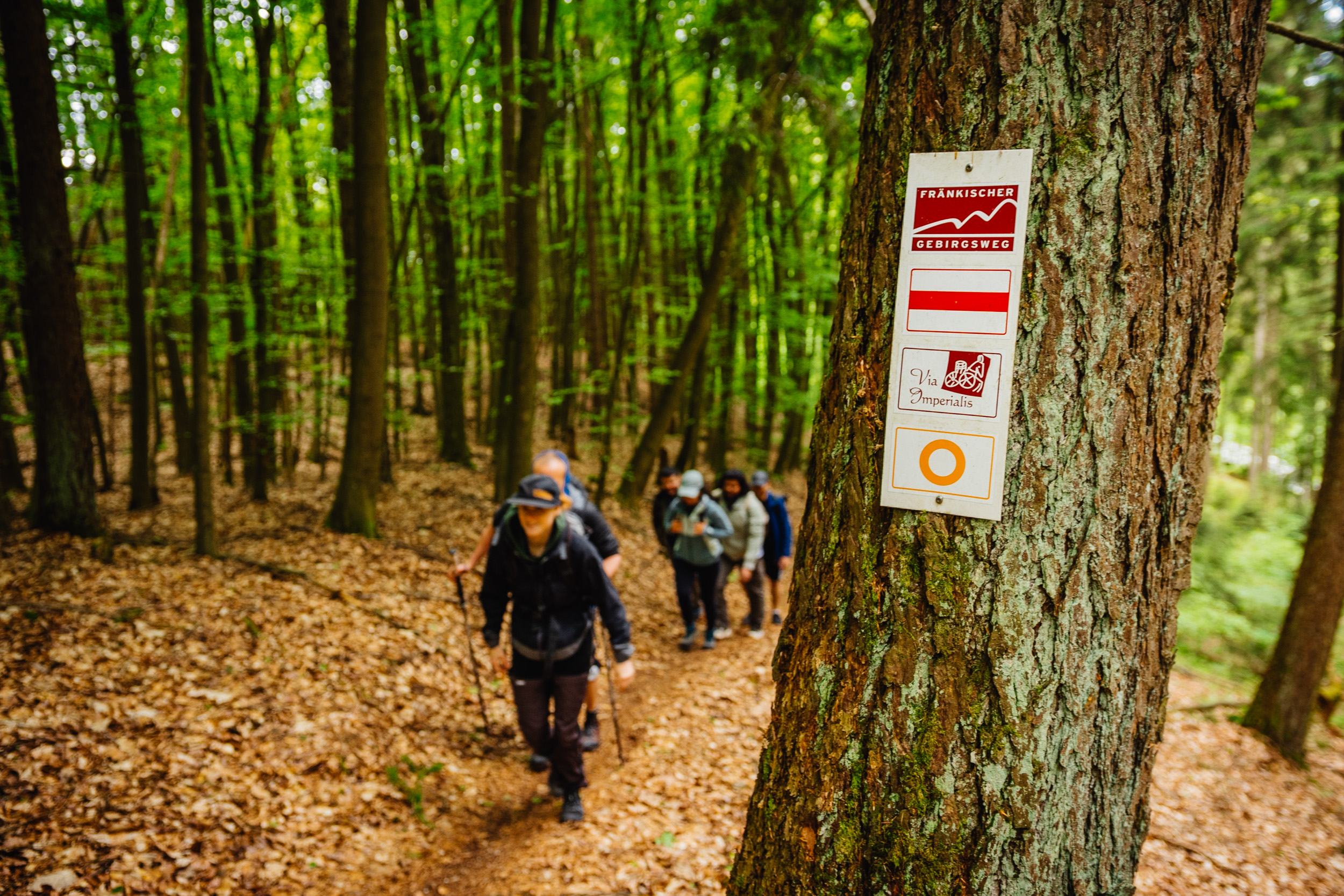 2026-05-17 Bike-n-Hike Glashütten 09304
