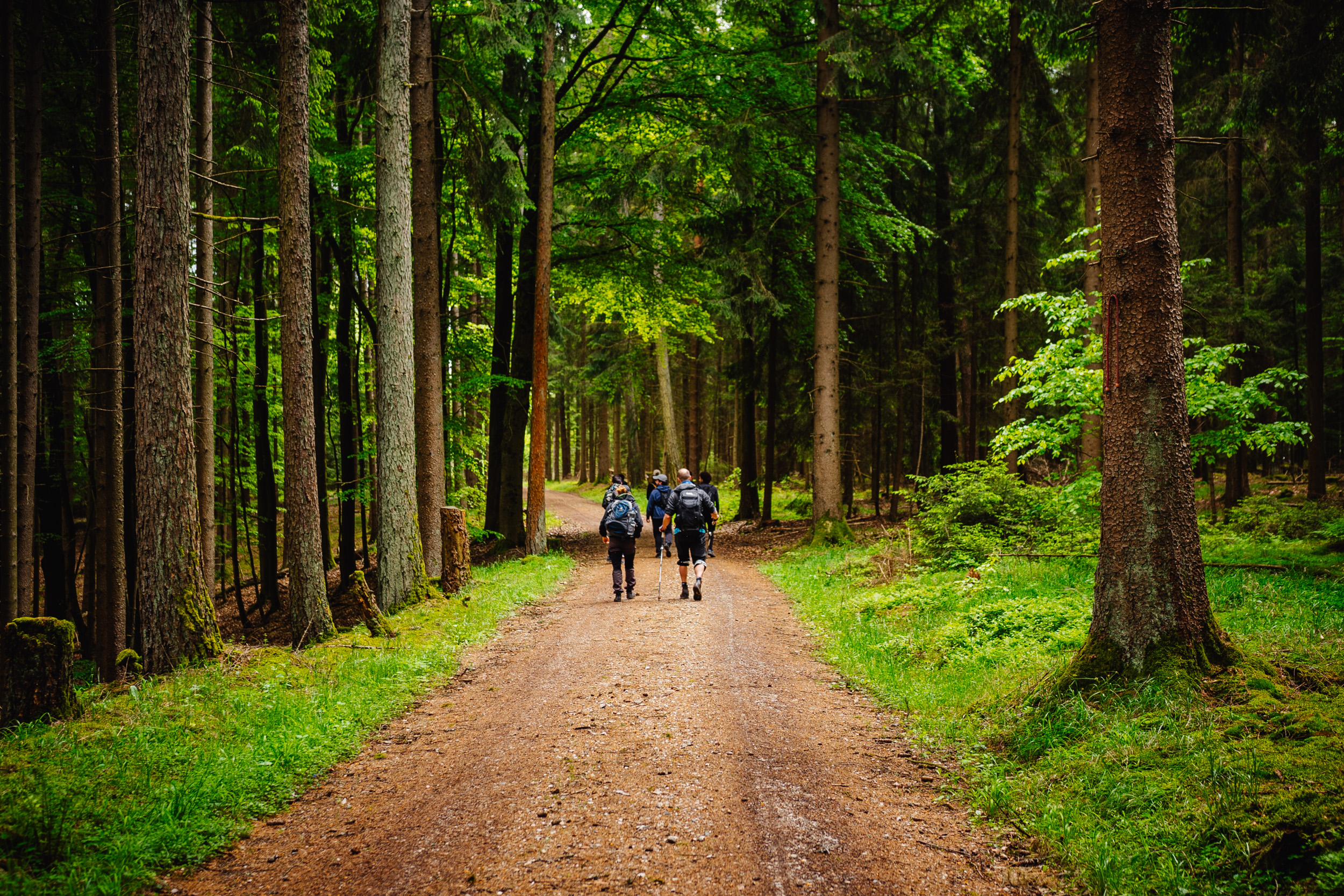 2026-05-17 Bike-n-Hike Glashütten 09319