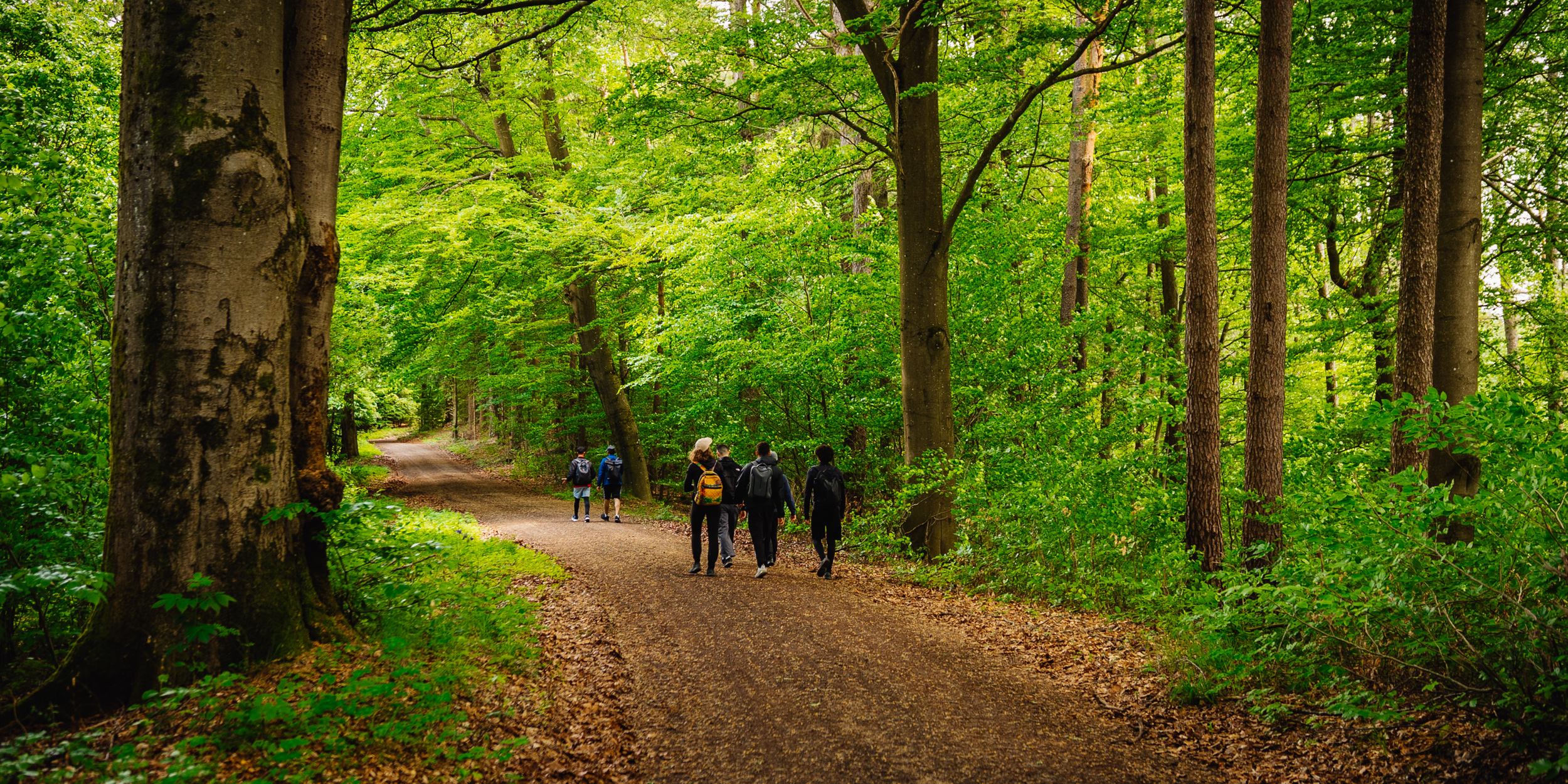 2026-05-17 Bike-n-Hike Glashütten 09353