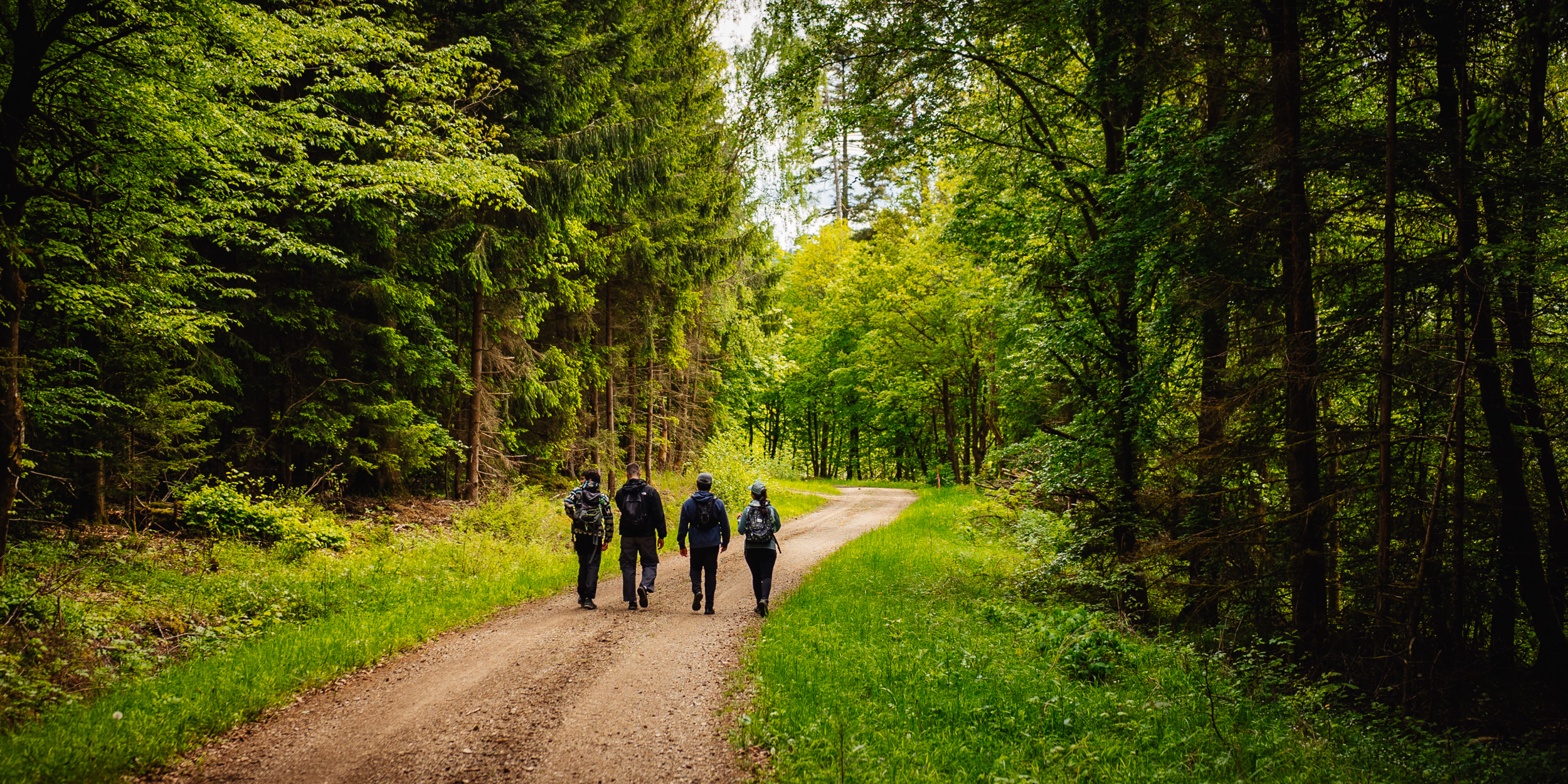 2026-05-17 Bike-n-Hike Glashütten 09389