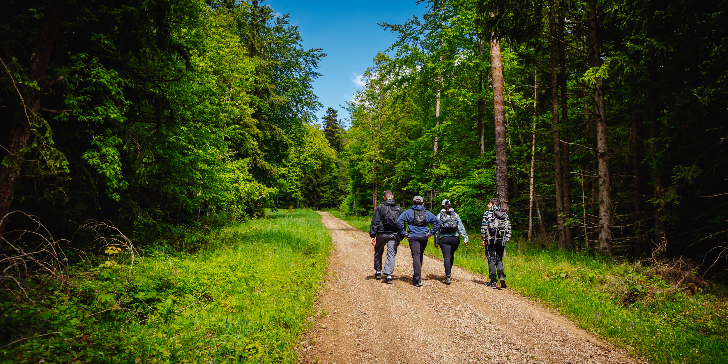 2026-05-17 Bike-n-Hike Glashütten 09392