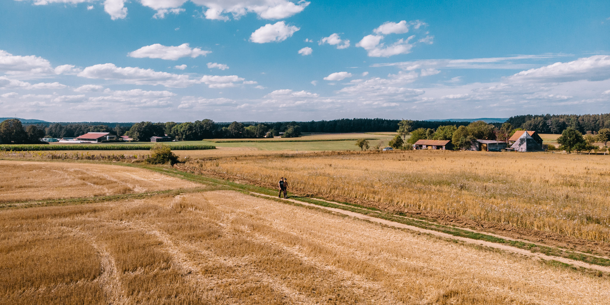 2019-08-10 Neuenmarkt blackberry-53