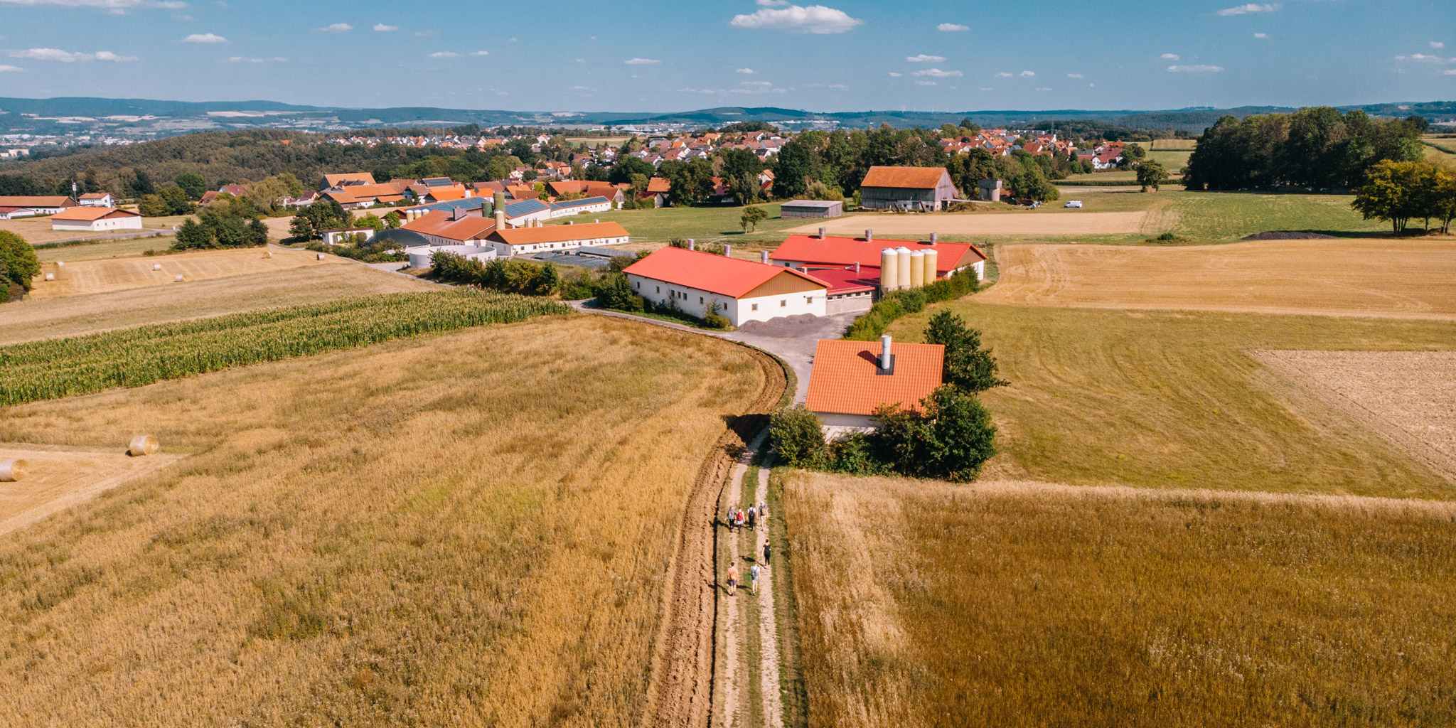 2019-08-10 Neuenmarkt blackberry-56