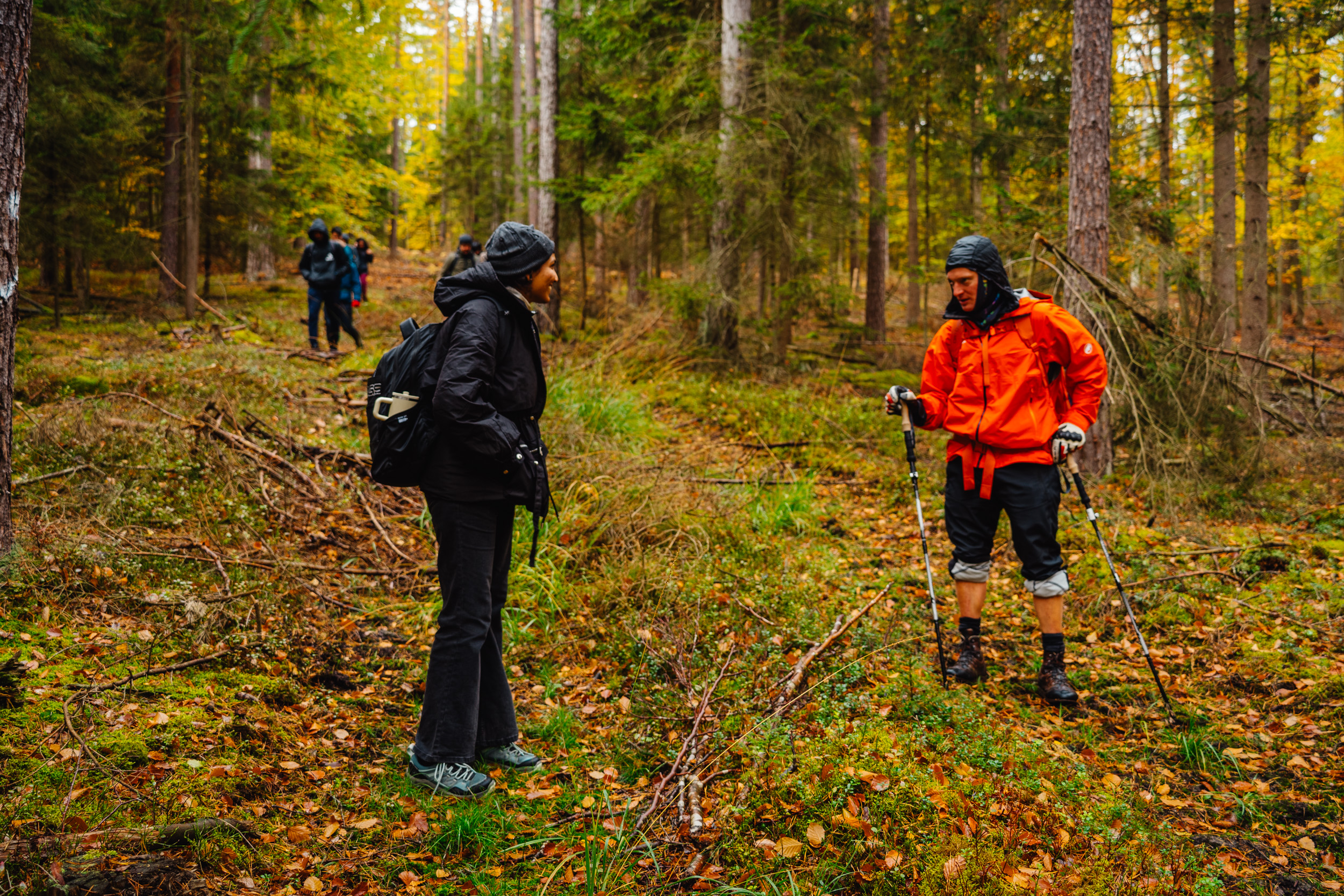 2026-10-24 Blueberry Forest 02836
