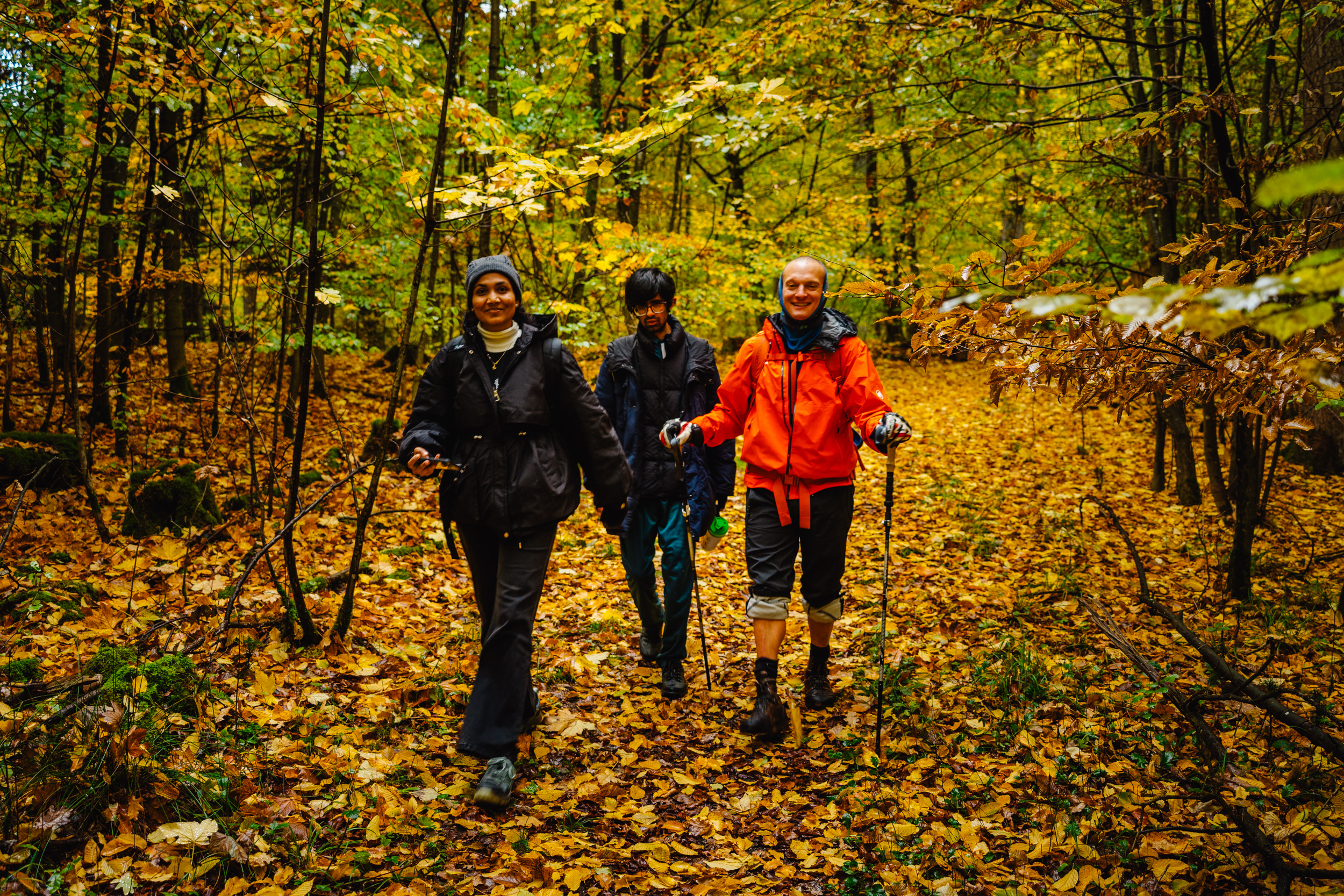 2026-10-24 Blueberry Forest 02882