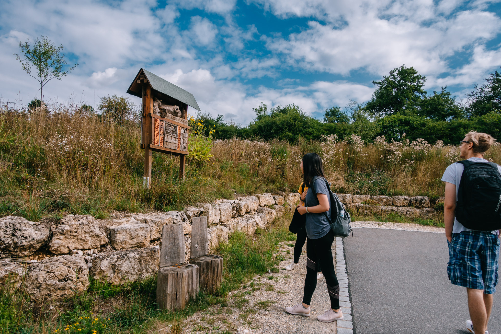2019-08-14 Pegnitz kleiner kulm-0007