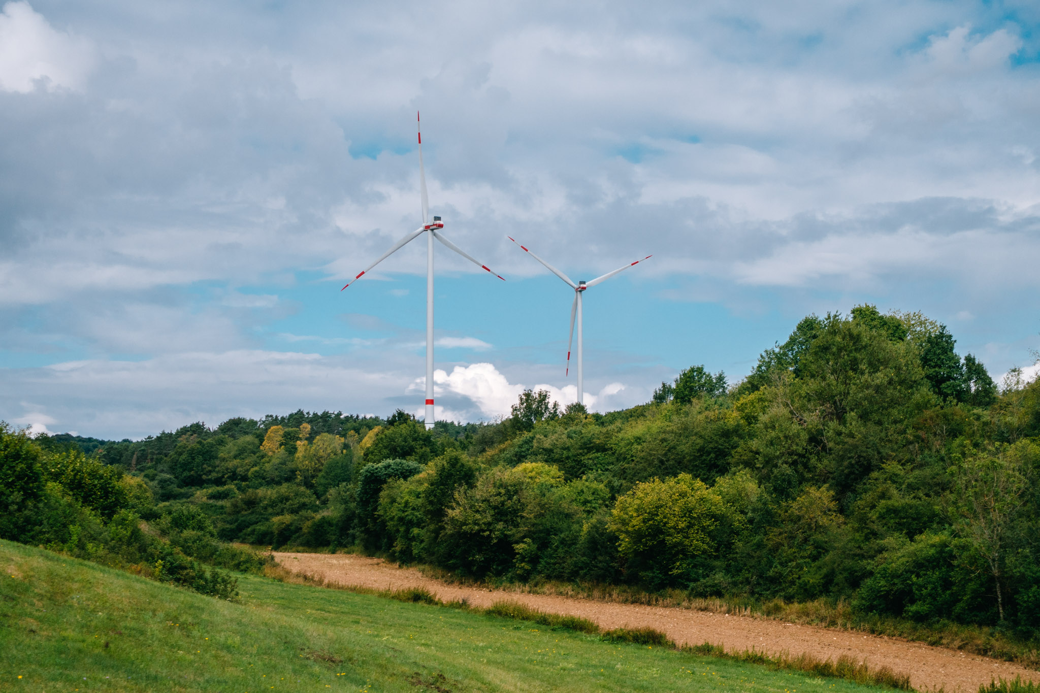 2019-08-14 Pegnitz kleiner kulm-0011