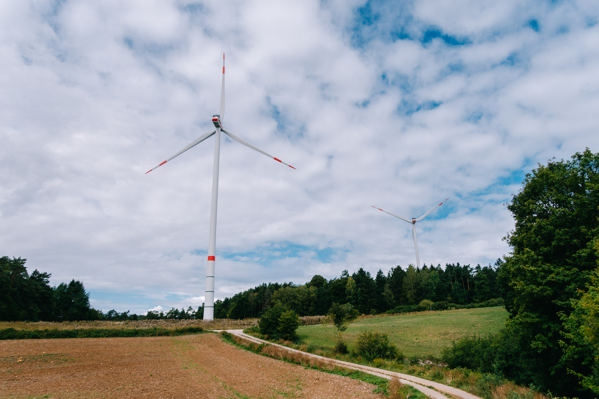 2019-08-14 Pegnitz kleiner kulm-0014