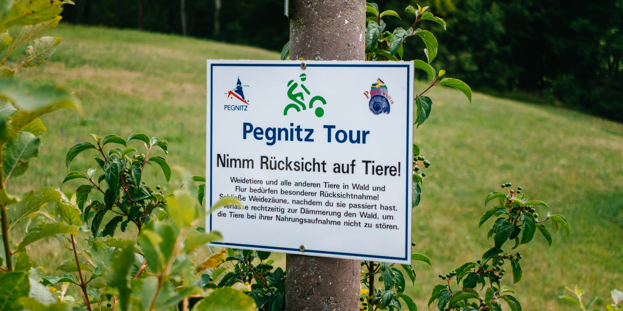 2019-08-14 Pegnitz kleiner kulm-0017