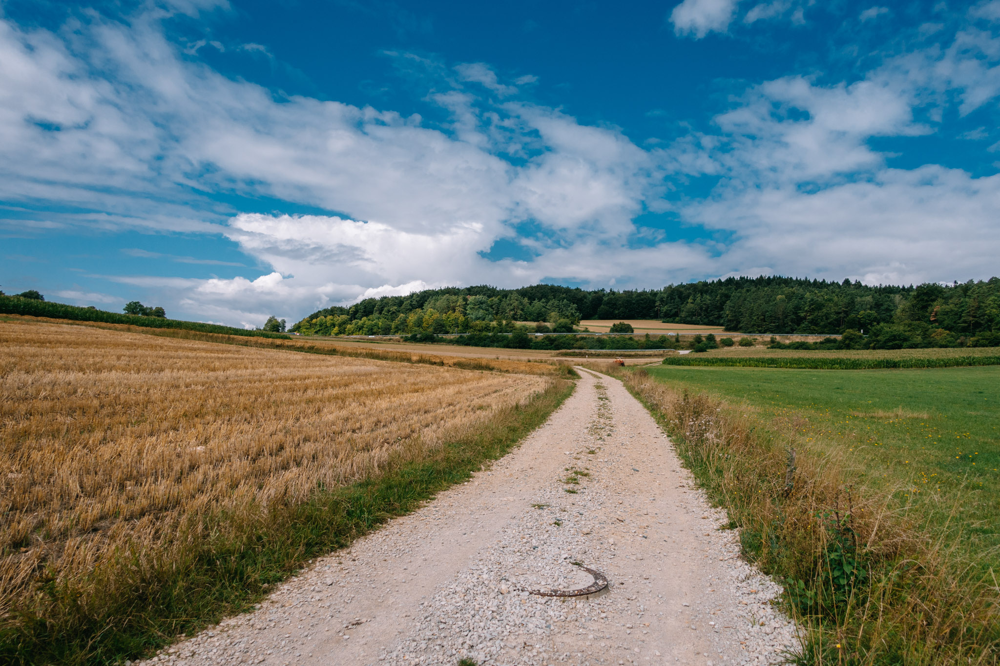 2019-08-14 Pegnitz kleiner kulm-0026