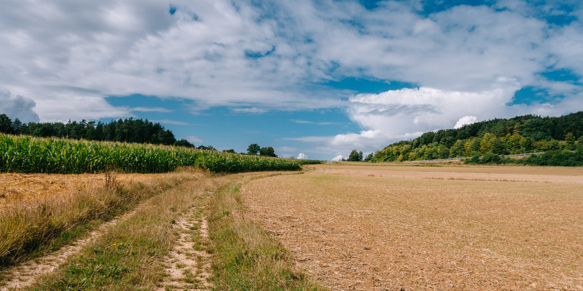 2019-08-14 Pegnitz kleiner kulm-0027