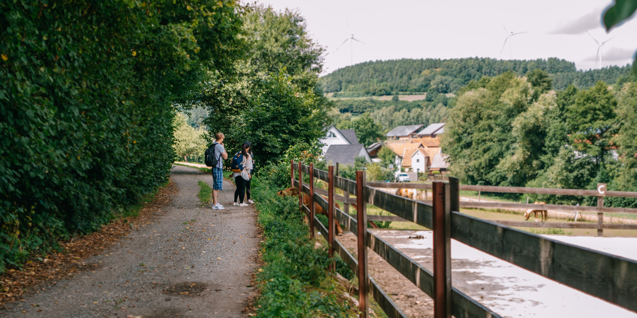 2019-08-14 Pegnitz kleiner kulm-0085