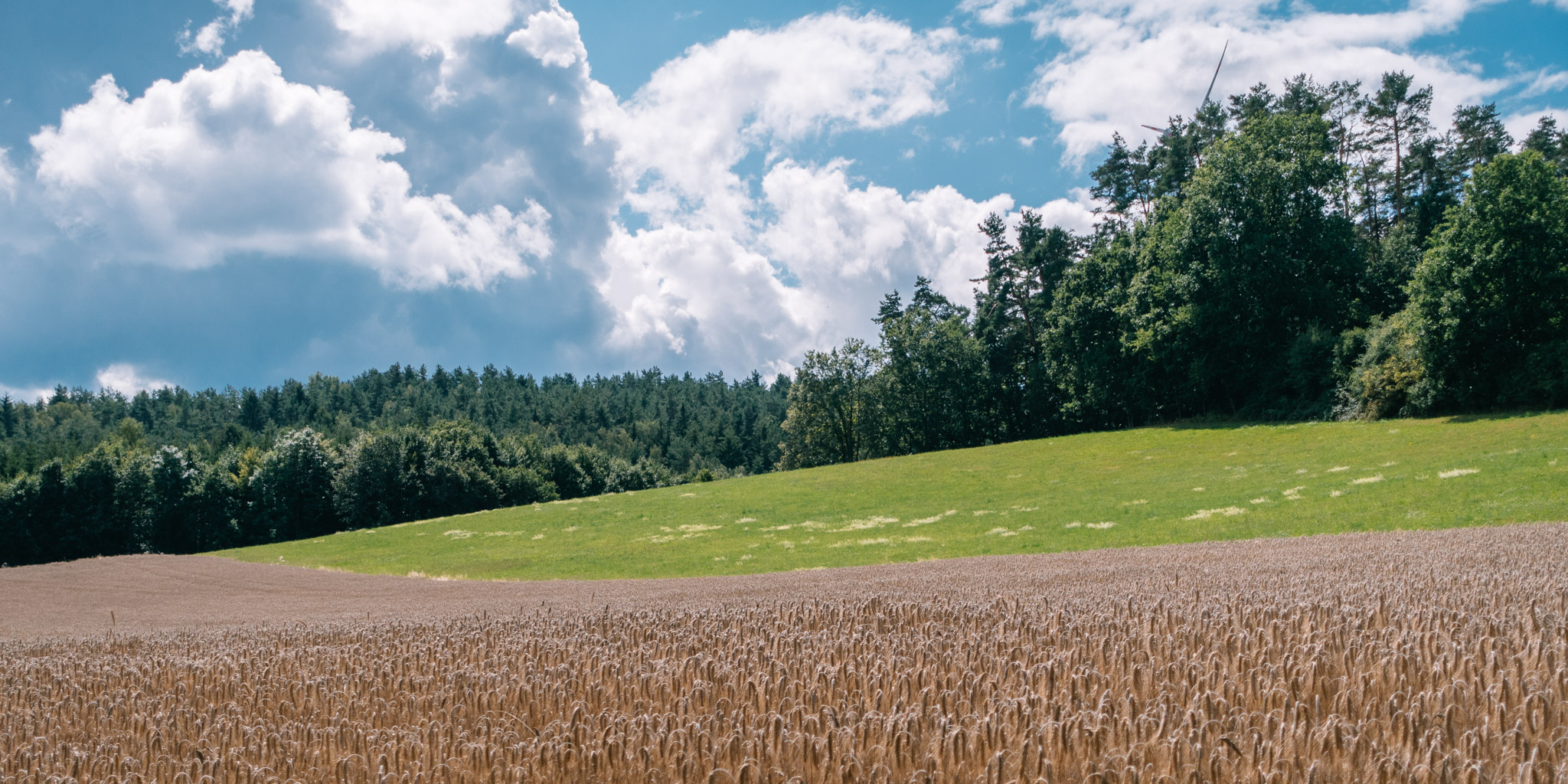 2019-08-14 Pegnitz kleiner kulm-0093