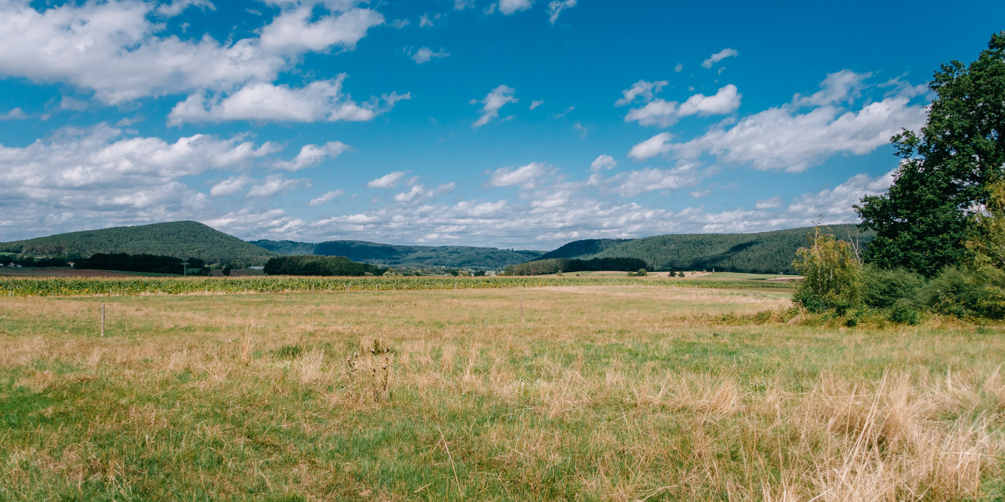2019-08-18 Trebgast badesee-37