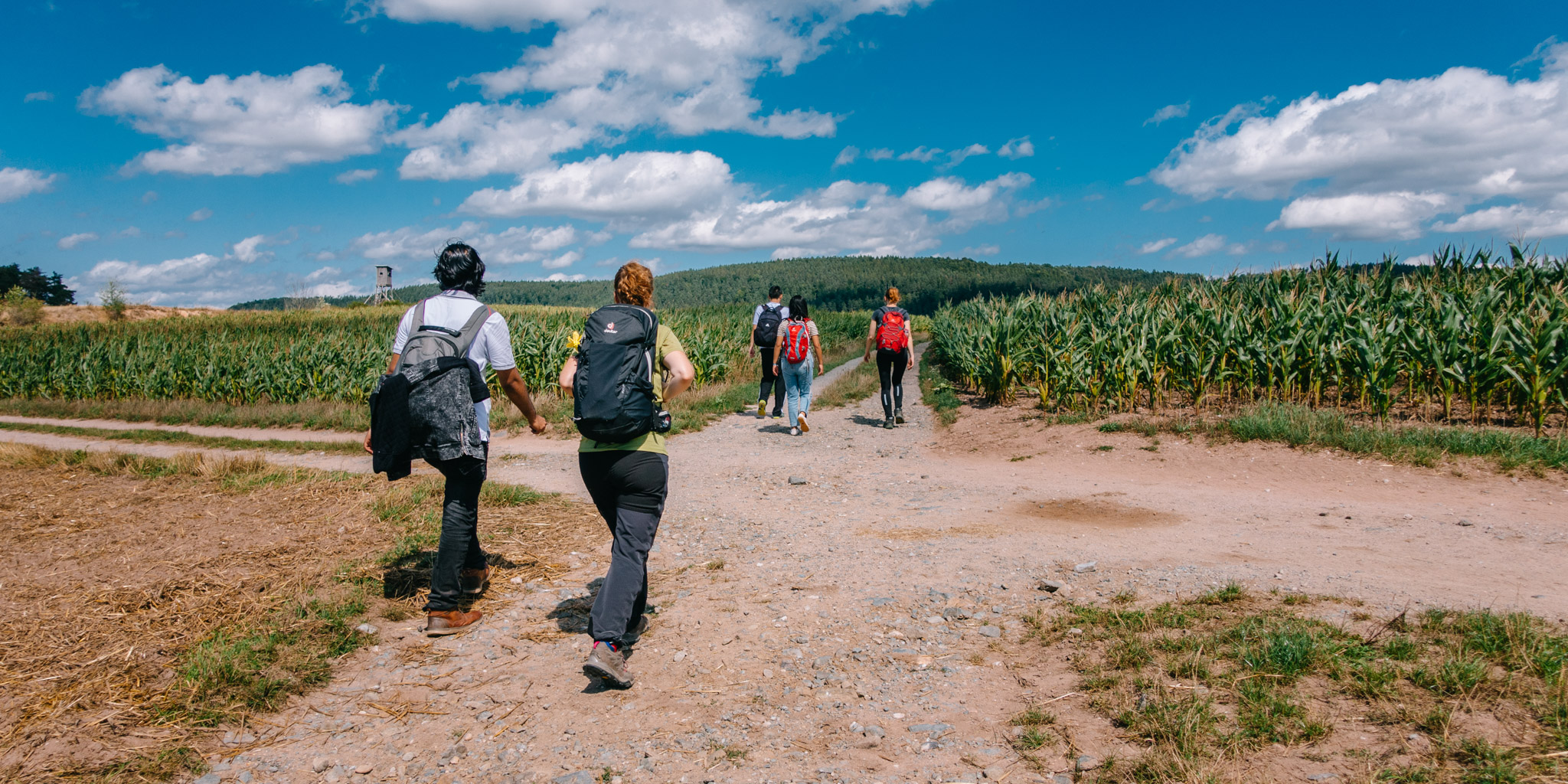 We can hike again!