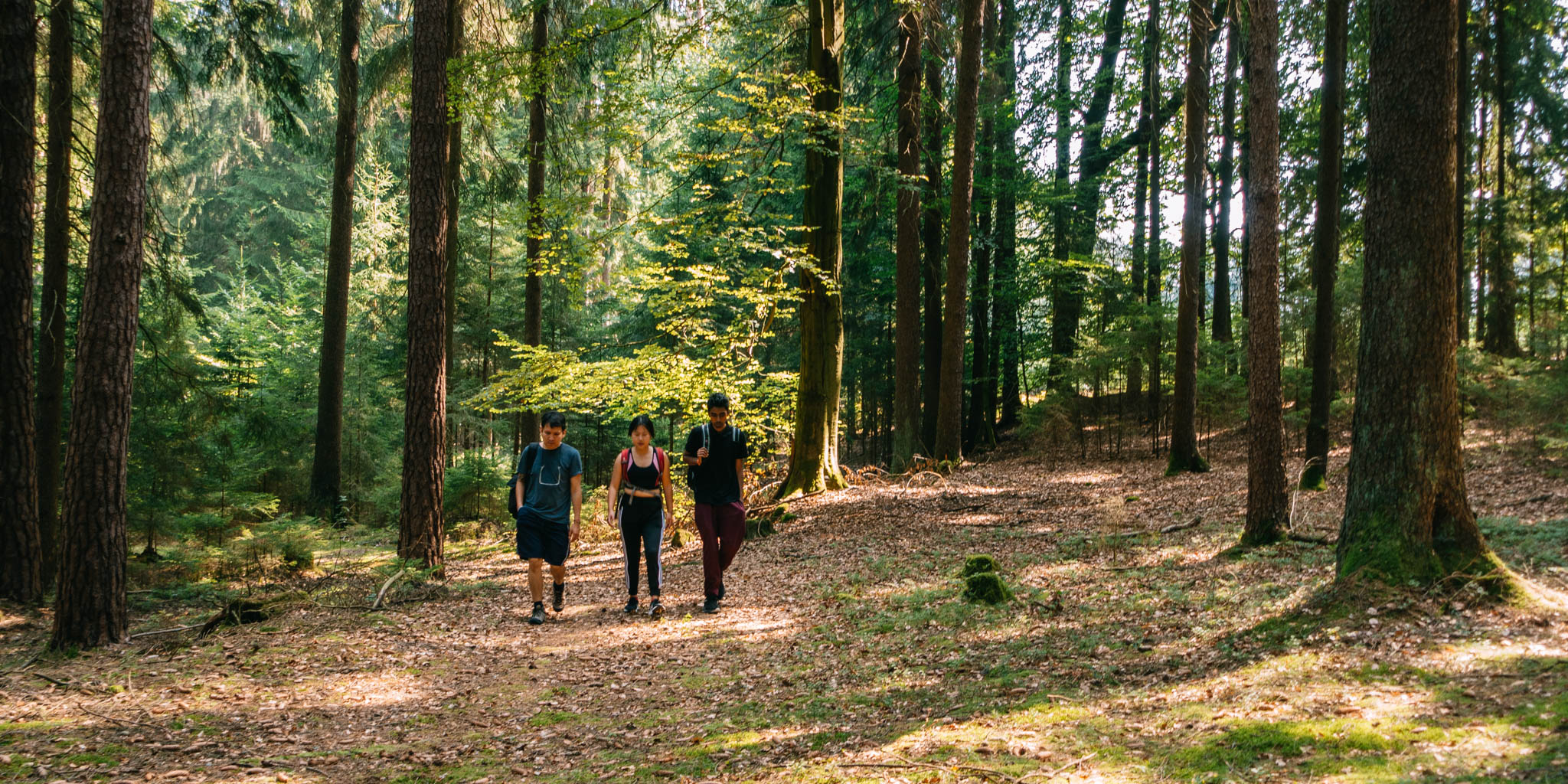 2019-08-25 Kulmbach-12
