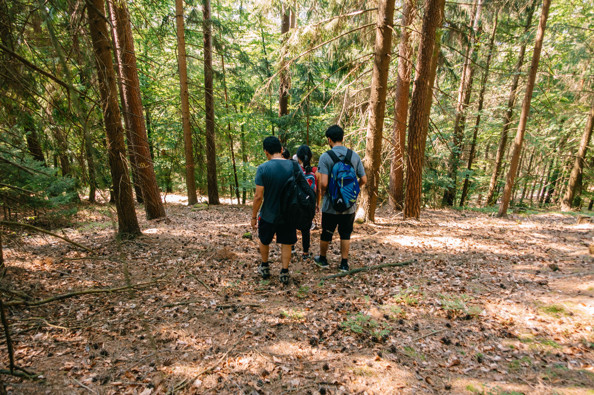 2019-08-25 Kulmbach-13