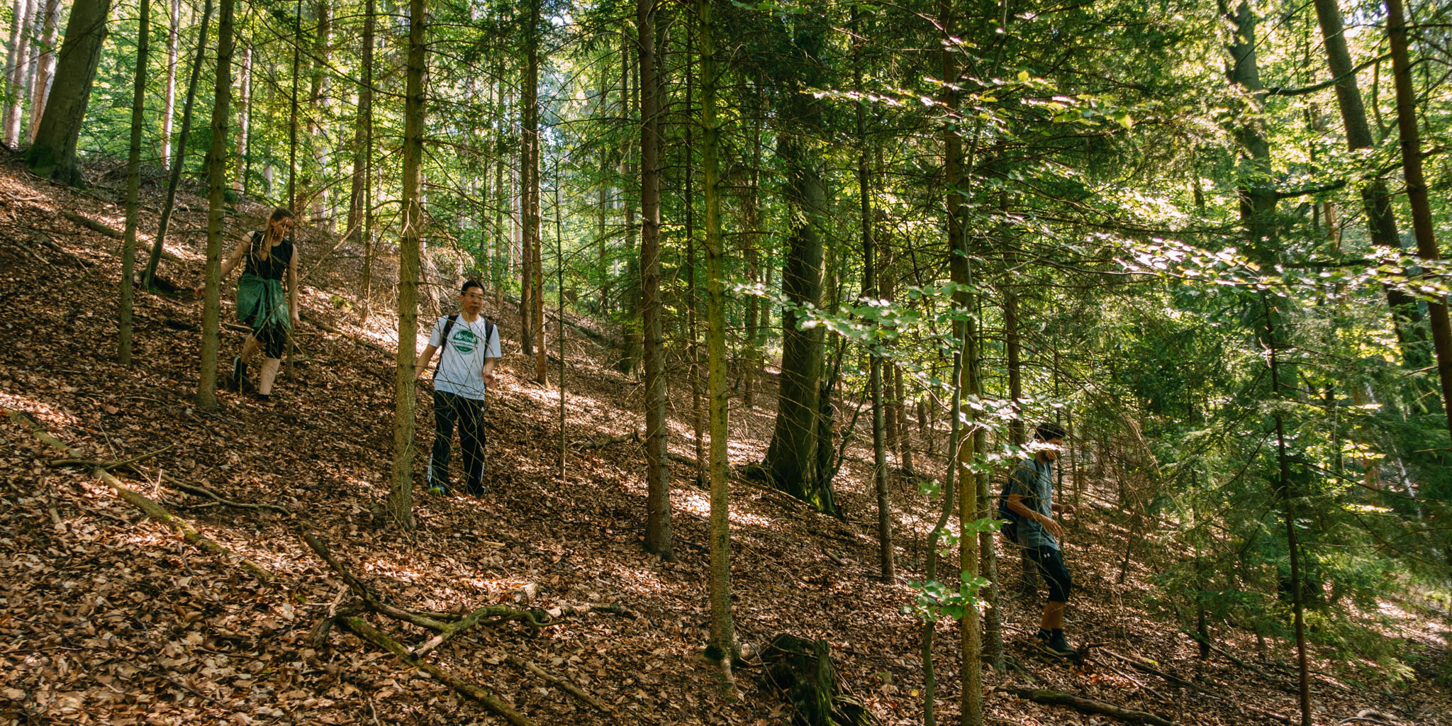 2019-08-25 Kulmbach-15