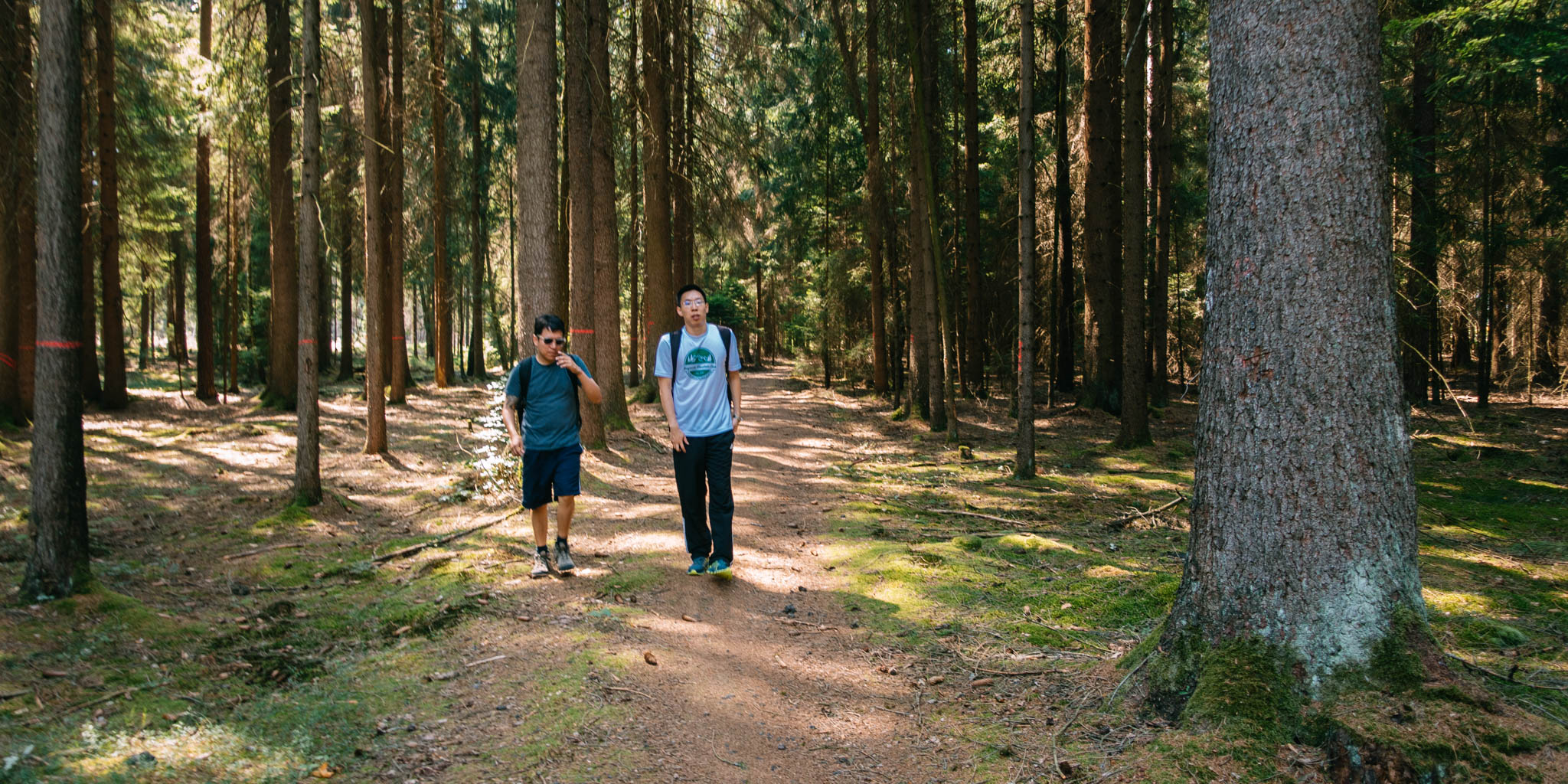 2019-08-25 Kulmbach-22