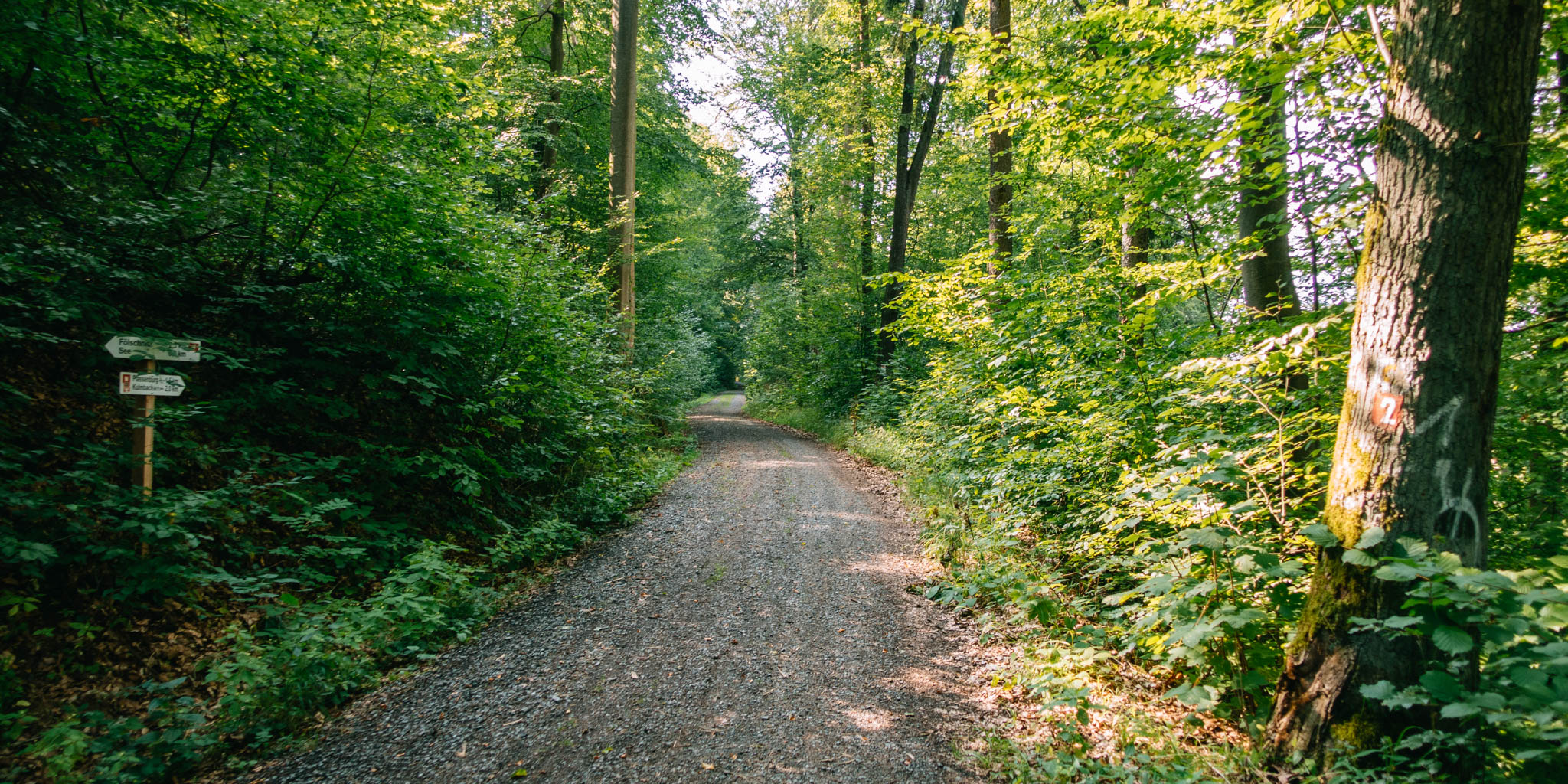 2019-08-25 Kulmbach-40