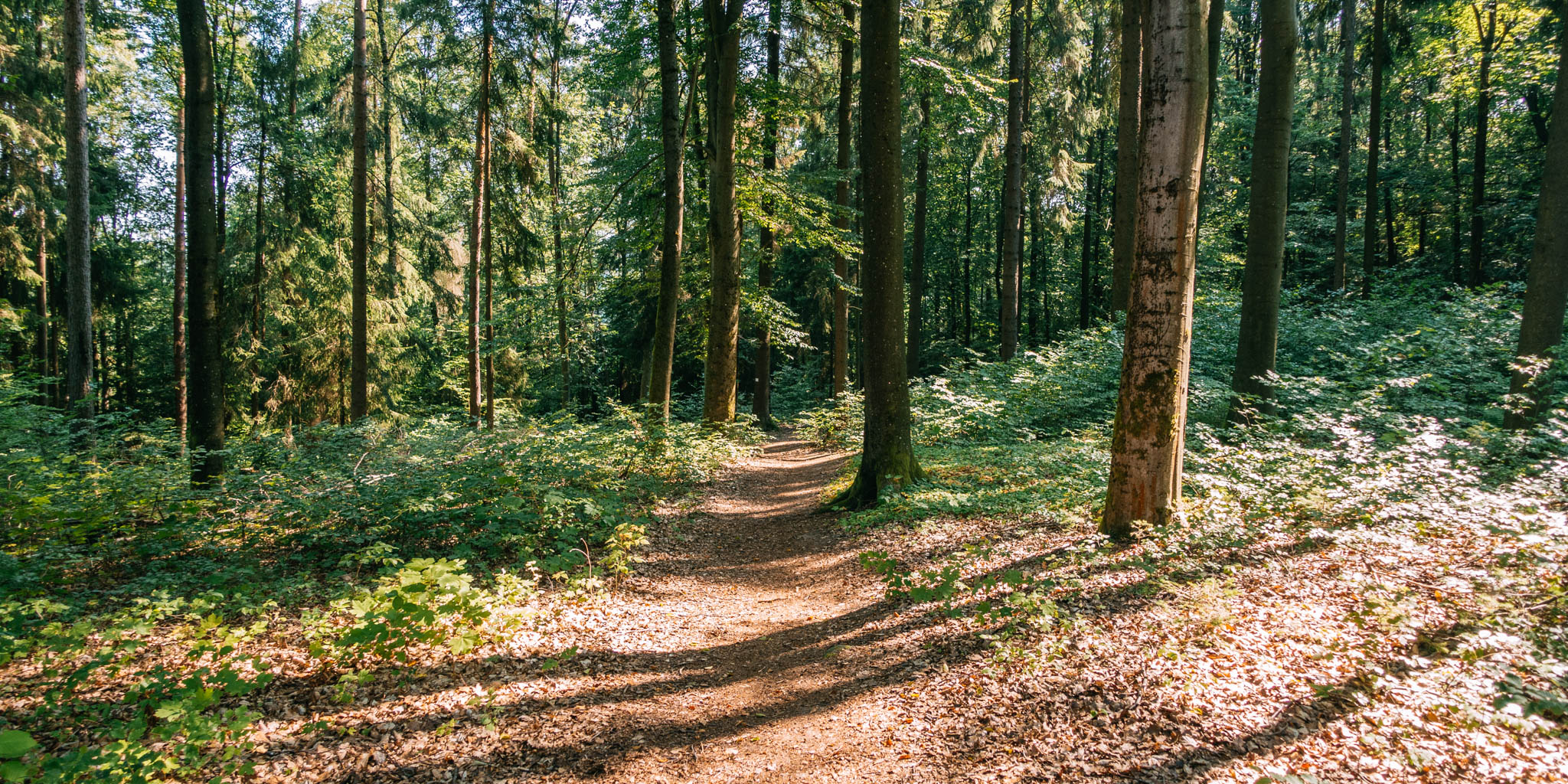 2019-08-25 Kulmbach-6