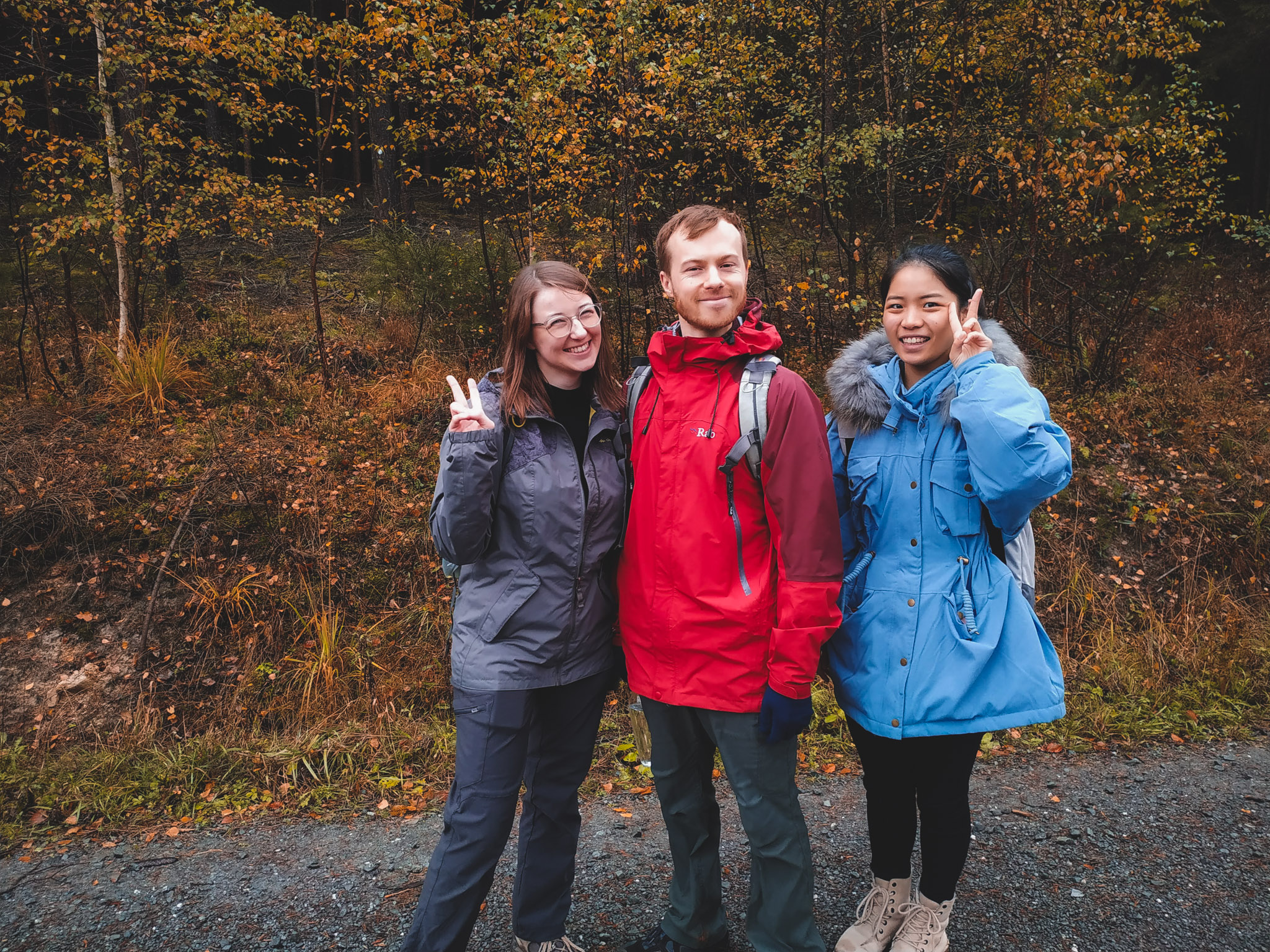2019-11-02_Autumn_bluberry_forest-103023