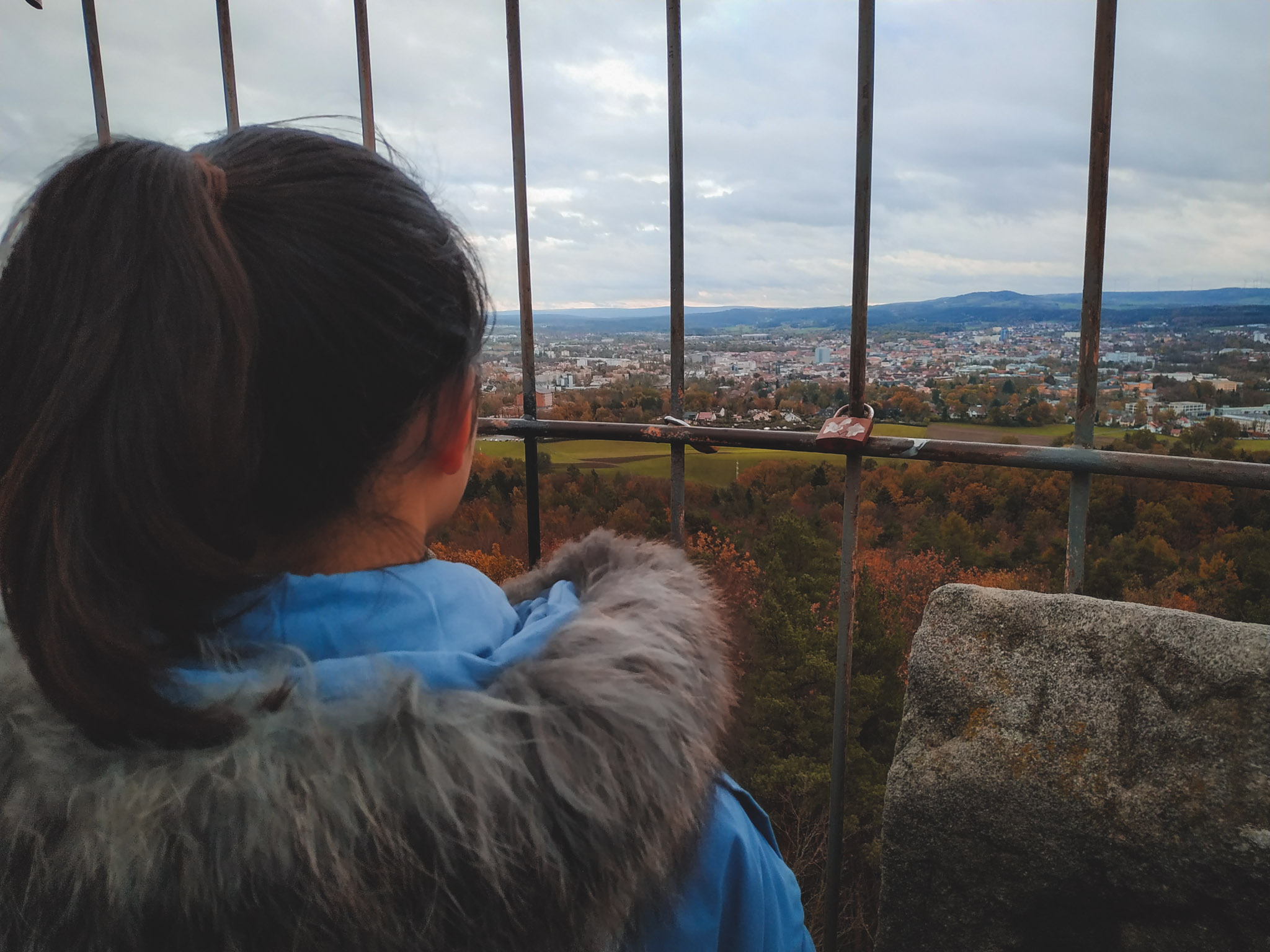 2019-11-02_Autumn_bluberry_forest-151500
